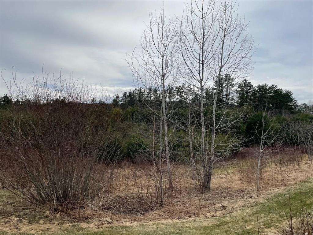 MLS #5072674 image #8