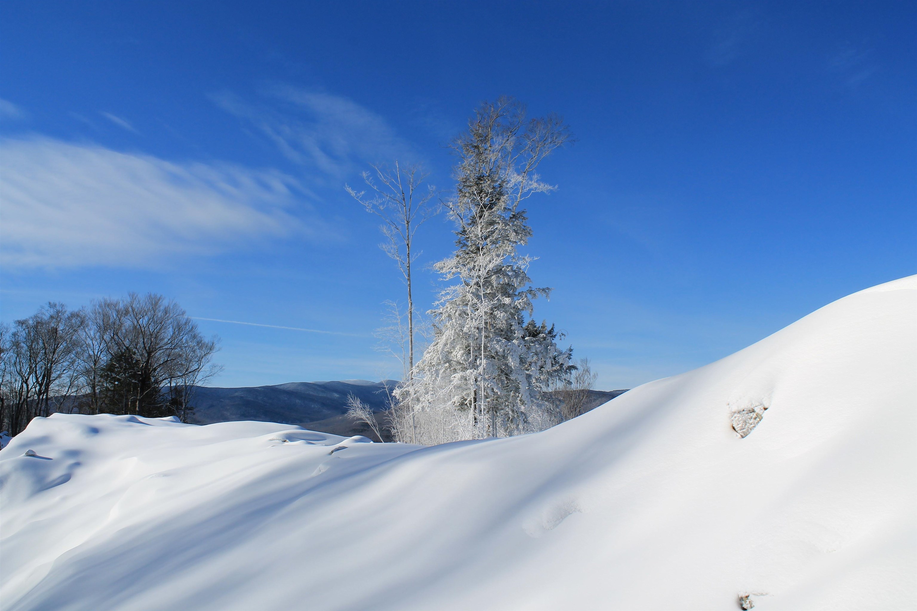 MLS #5072684 image #2