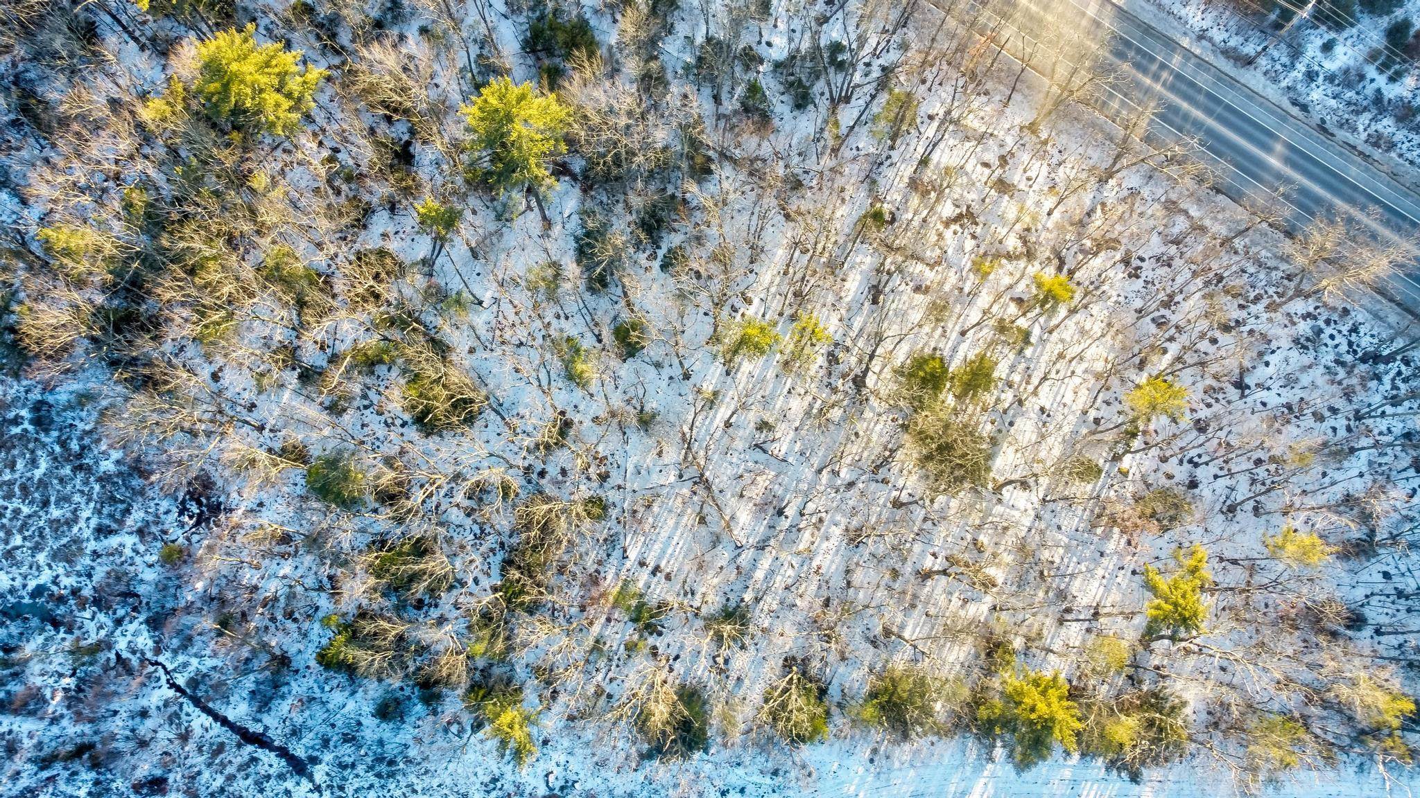 MLS #5072893 image #10