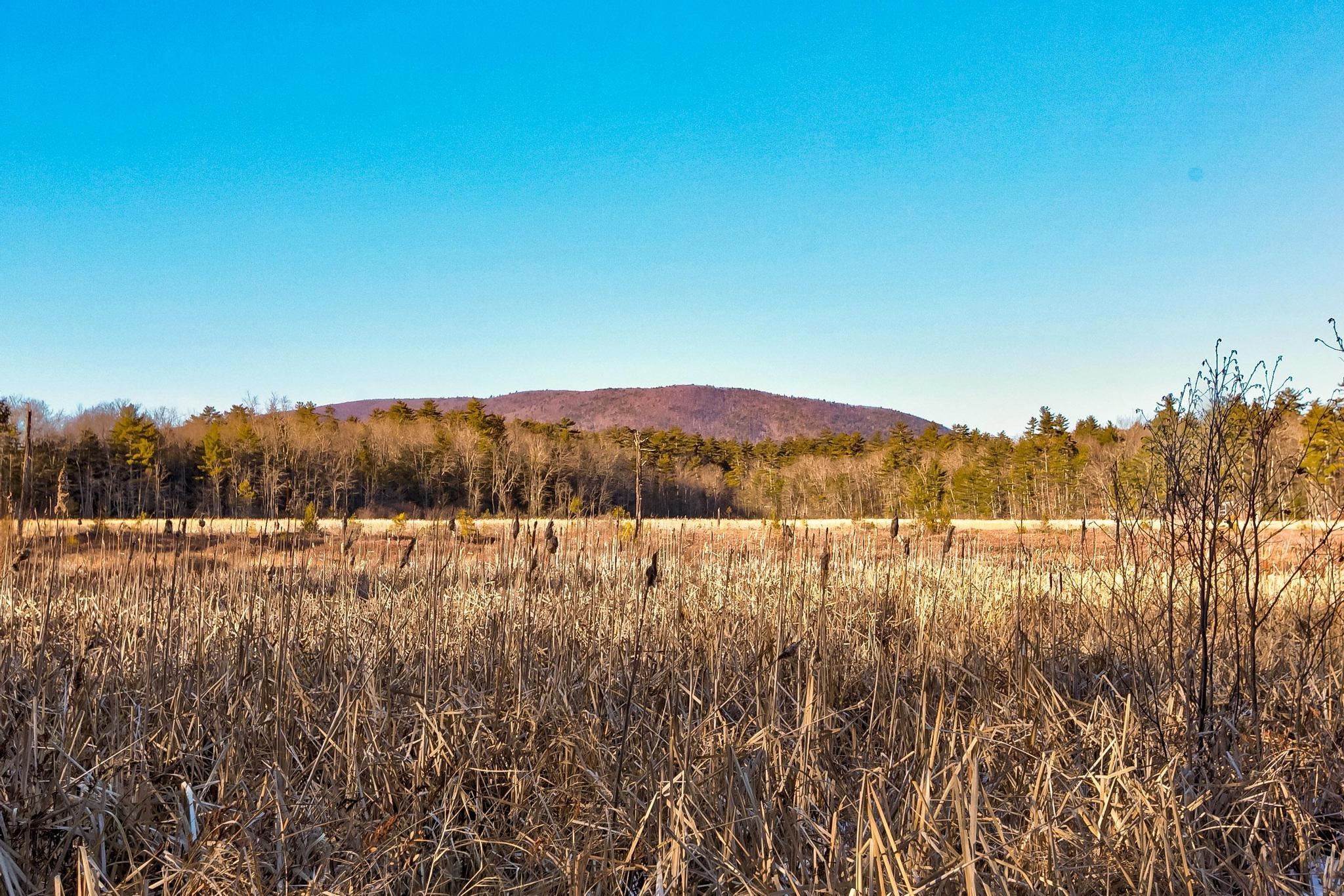 MLS #5072893 image #12