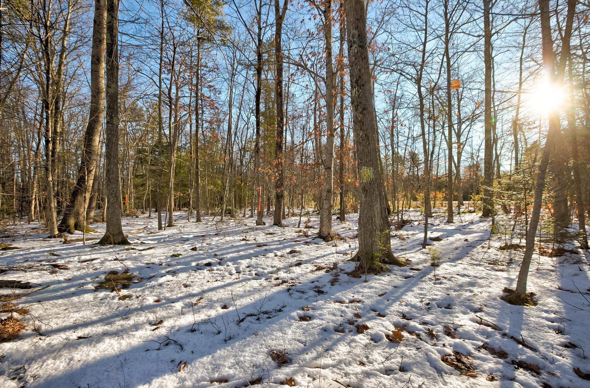 MLS #5072893 image #35