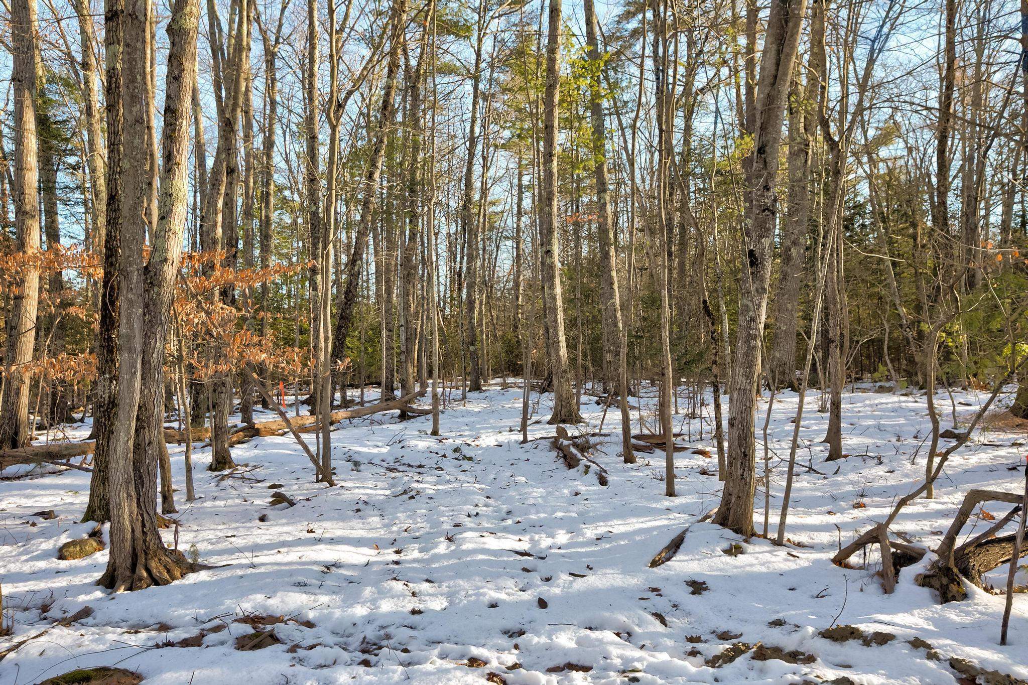 MLS #5072893 image #39