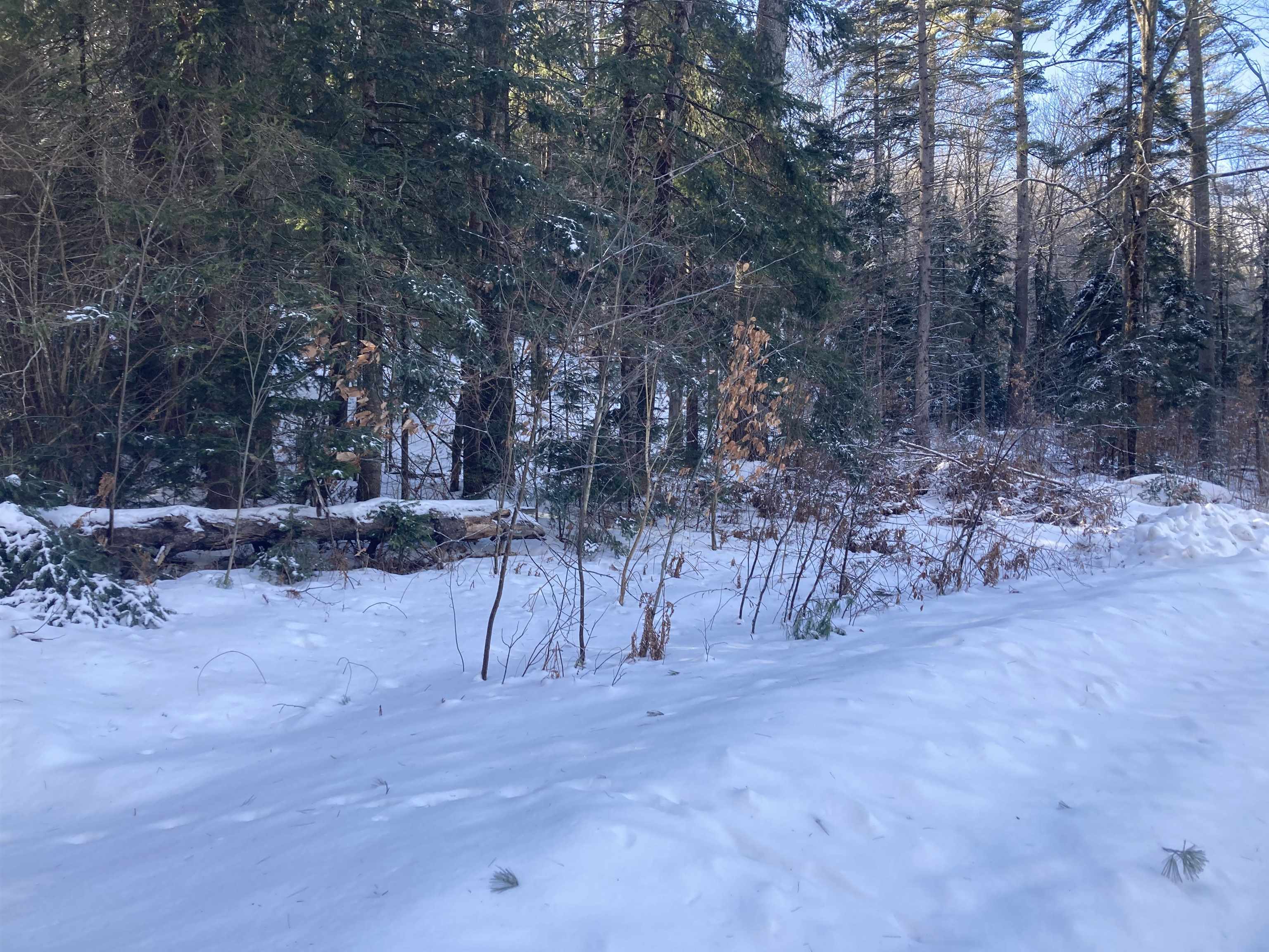 MLS #5072991 image #2