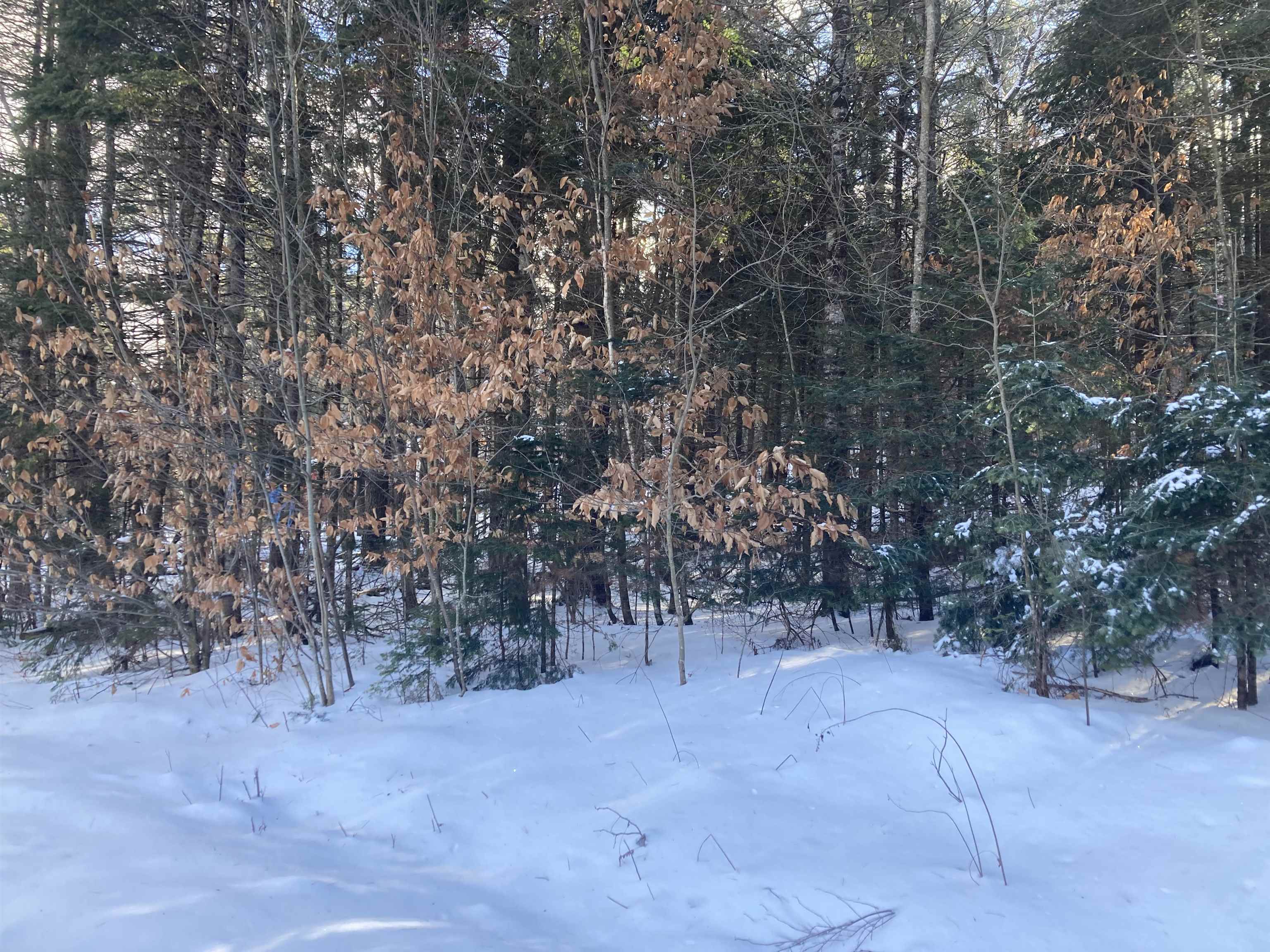 MLS #5072991 image #3