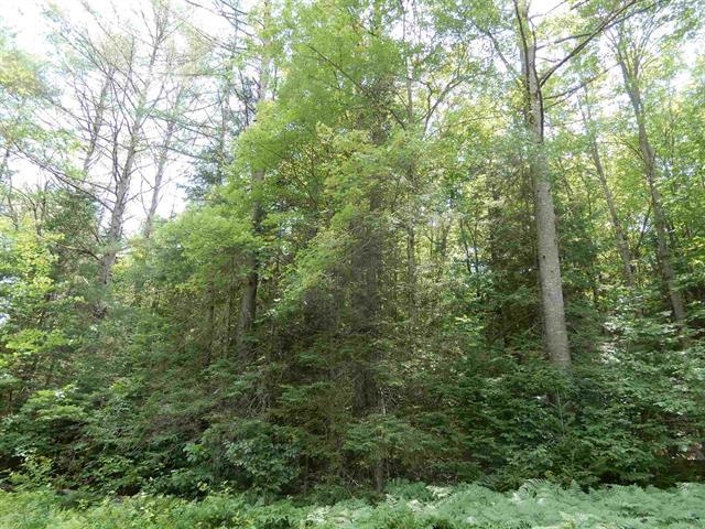 MLS #5072991 image #5