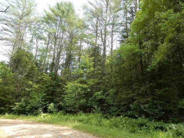 MLS #5072991 image #7