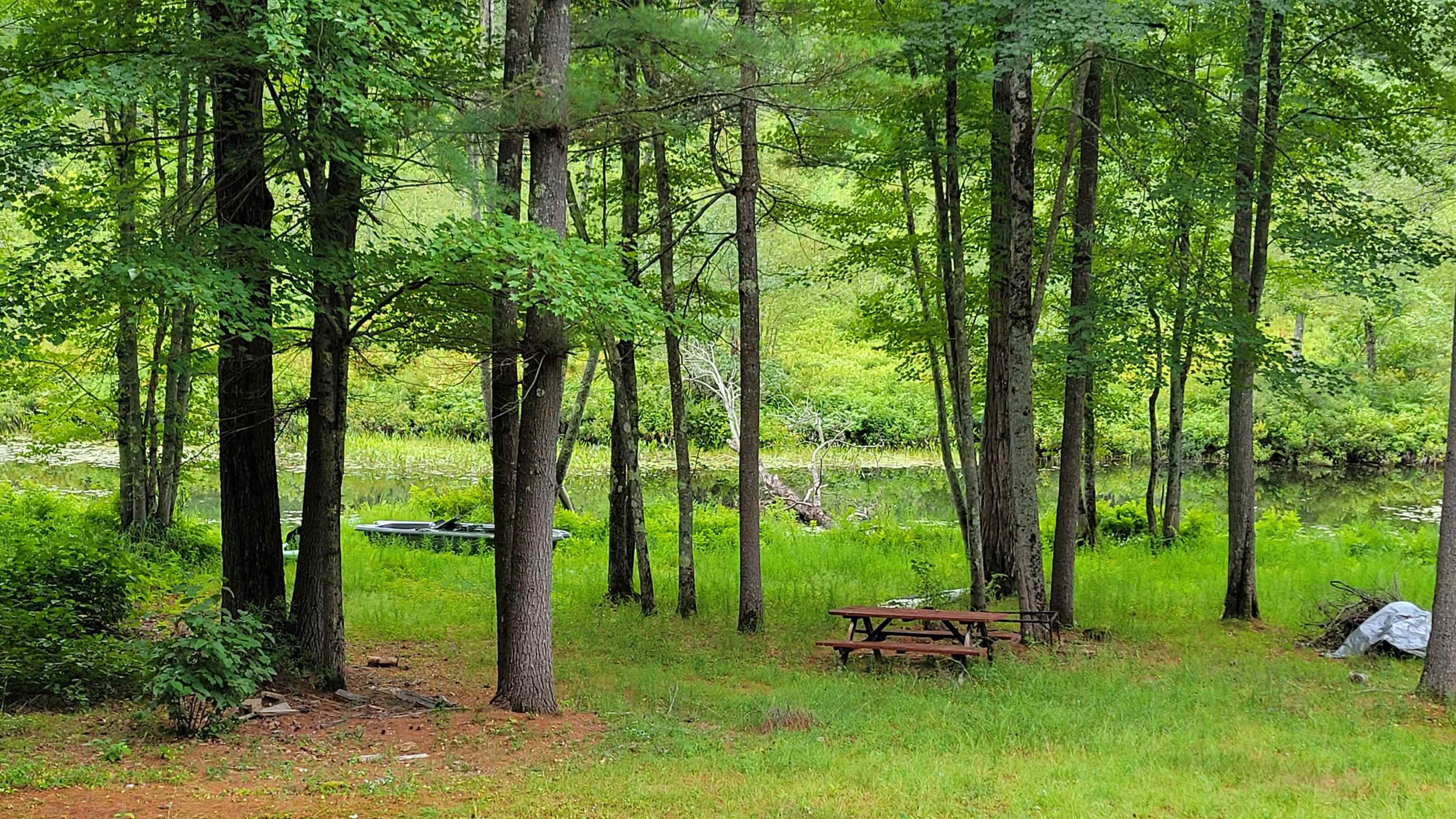 183 Breezy Hill Rd, Bradford, NH 03221