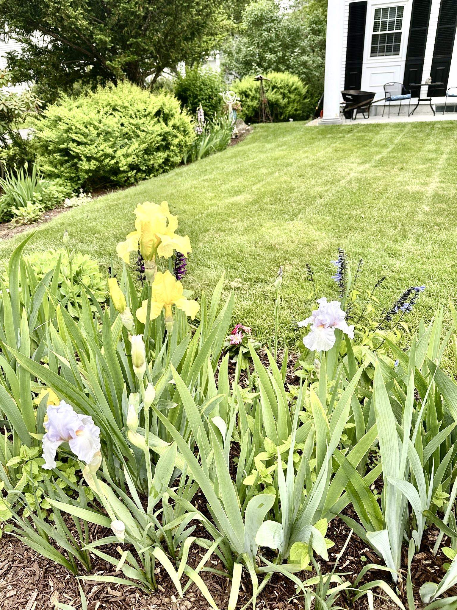 278 Main St #3, Hopkinton, NH 03229