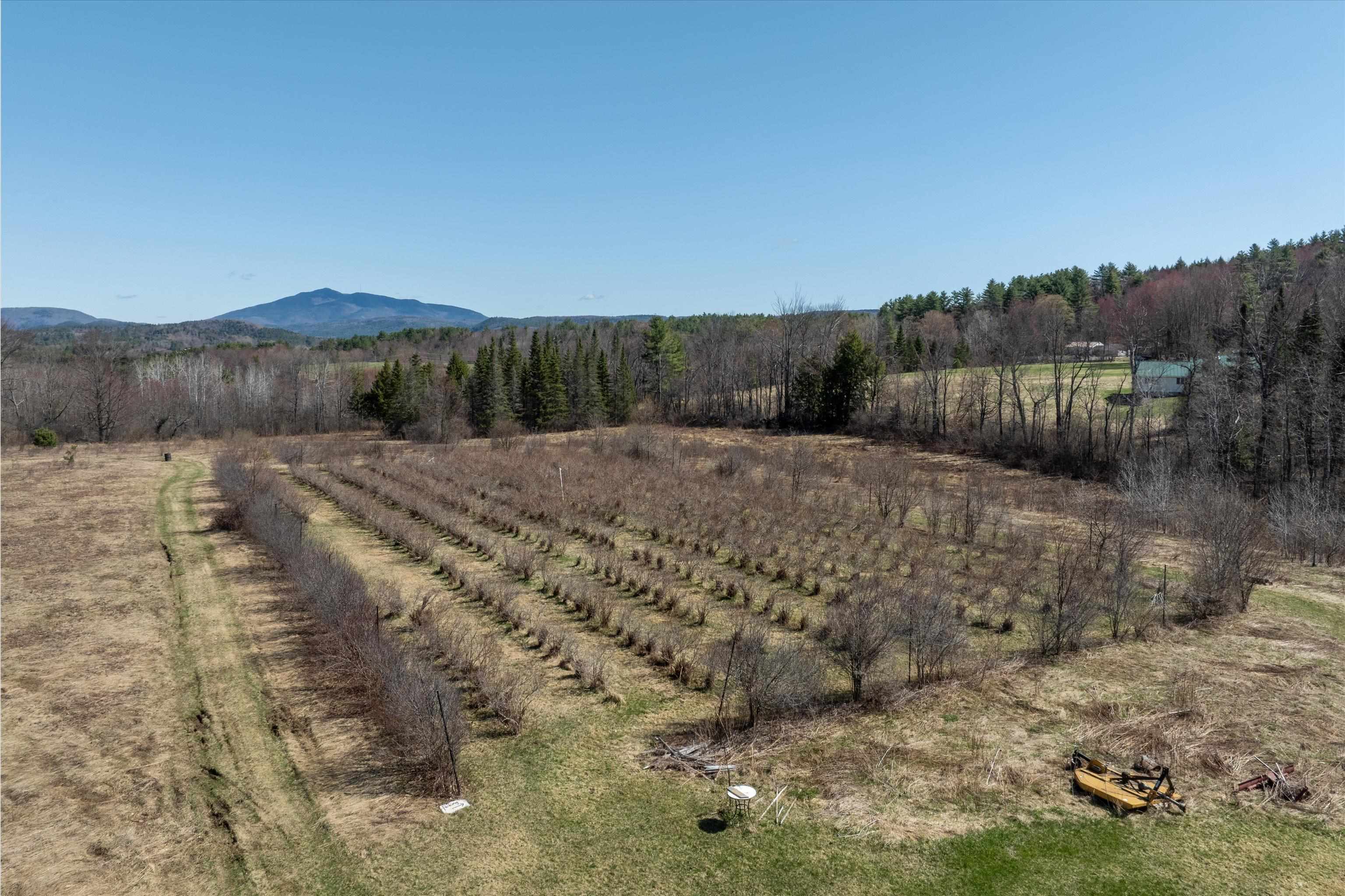 1 Acre Blueberry PYO Open seasonally 24566457