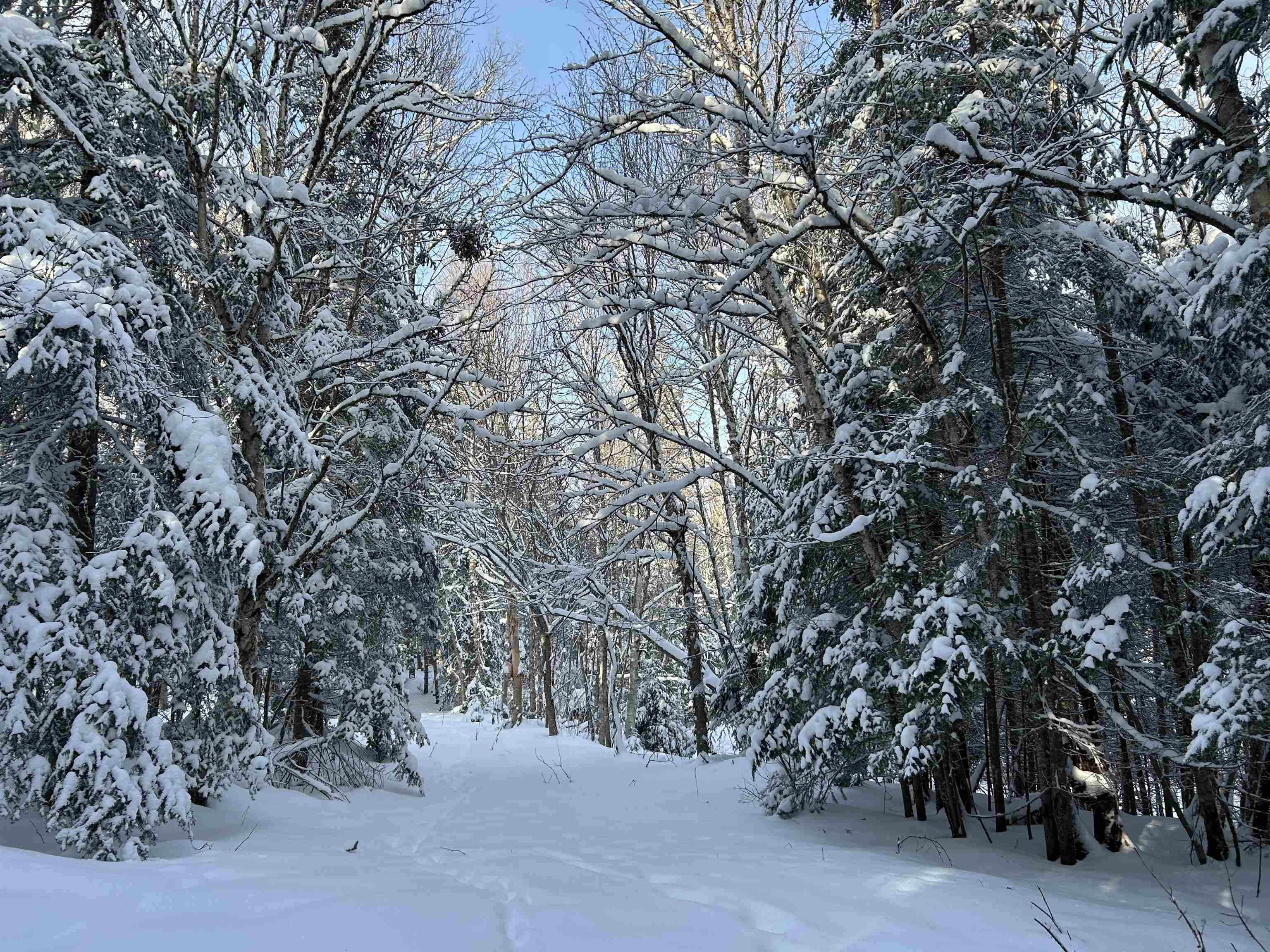 Homes for sale in Stewartstown, NH | 242 Noyes Rd, Stewartstown, NH 03576 | MLS# 5073071