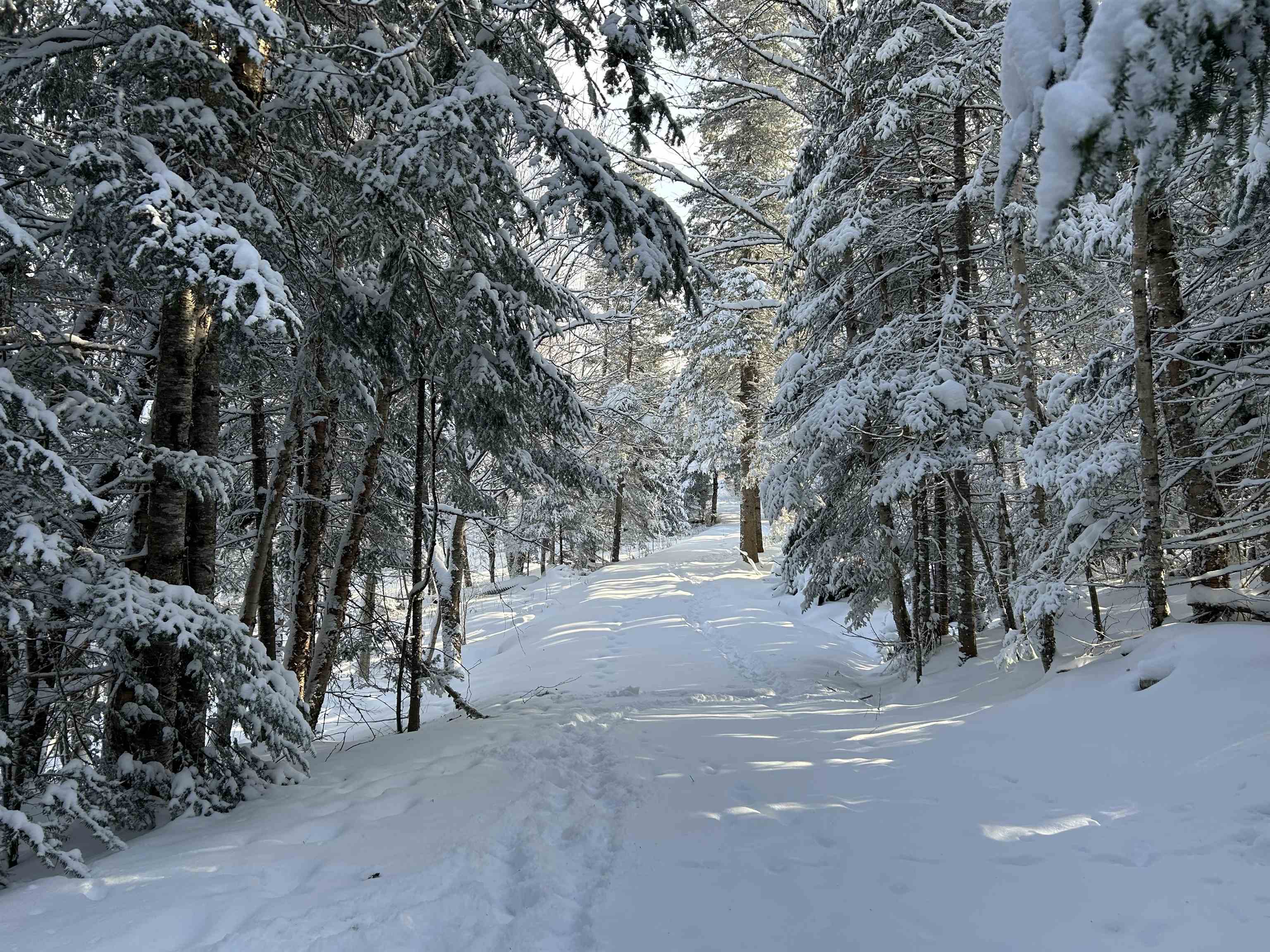 Homes for sale in Stewartstown, NH | 242 Noyes Rd, Stewartstown, NH 03576 | MLS# 5073071