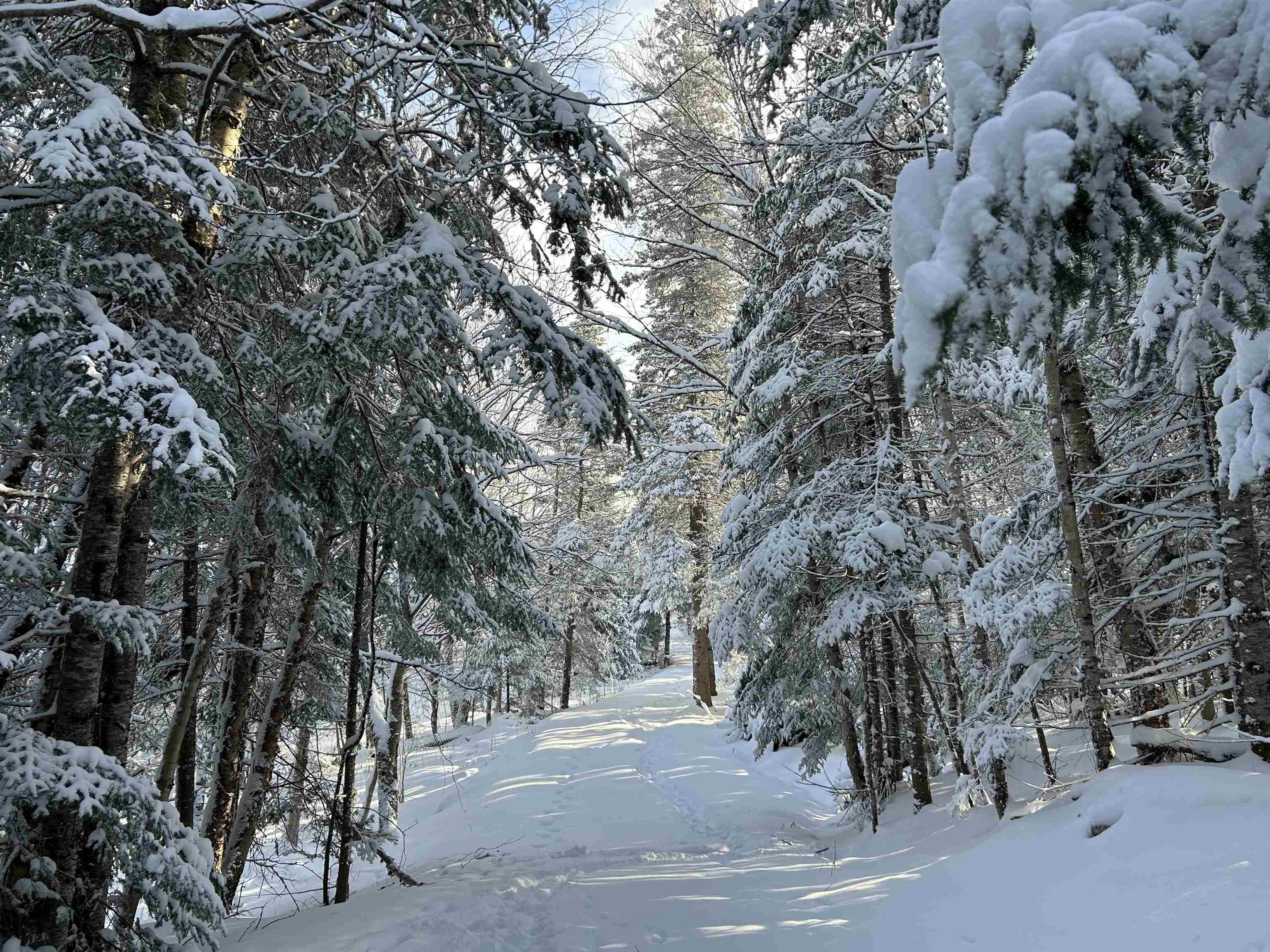 Homes for sale in Stewartstown, NH | 242 Noyes Rd, Stewartstown, NH 03576 | MLS# 5073071