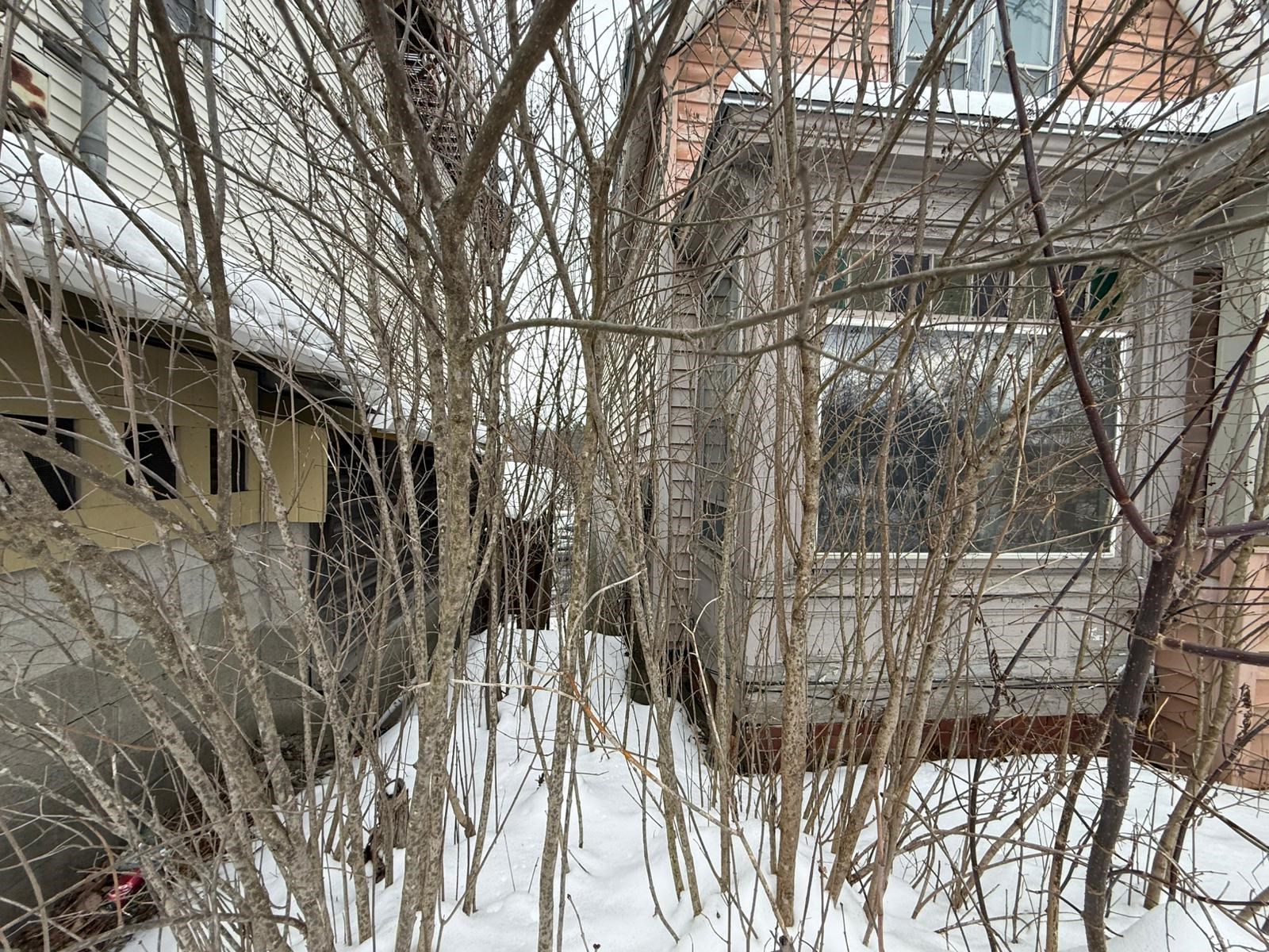 Homes for sale in Randolph, VT | 12 Pleasant St, Randolph, VT 05060 | MLS# 5073284