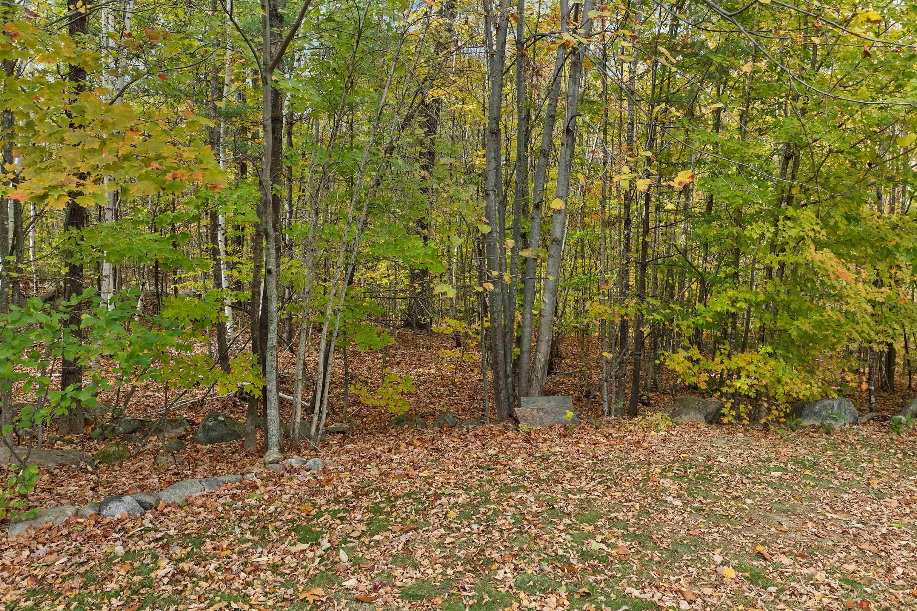 MLS #5073303 image #37