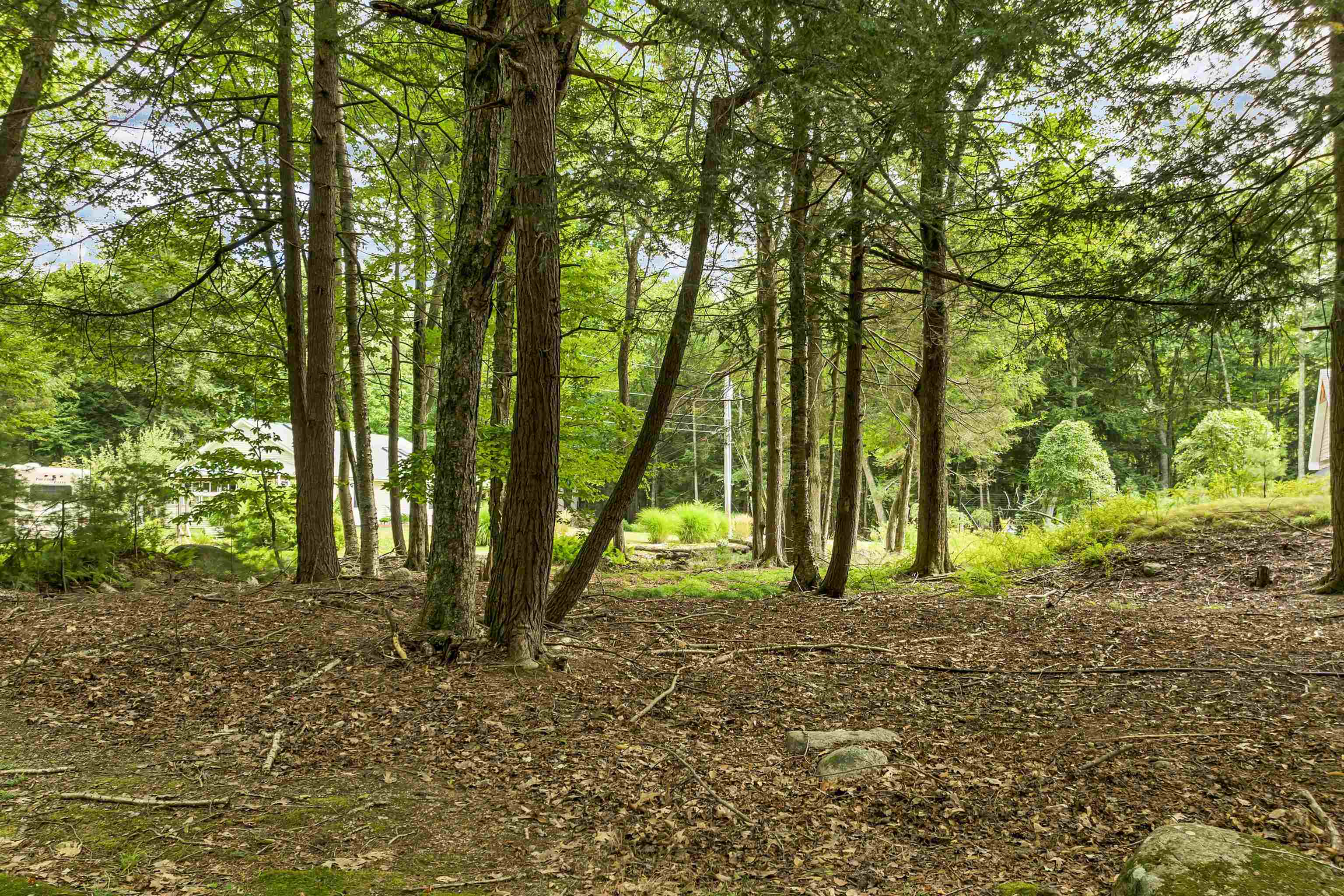 MLS #5073346 image #33