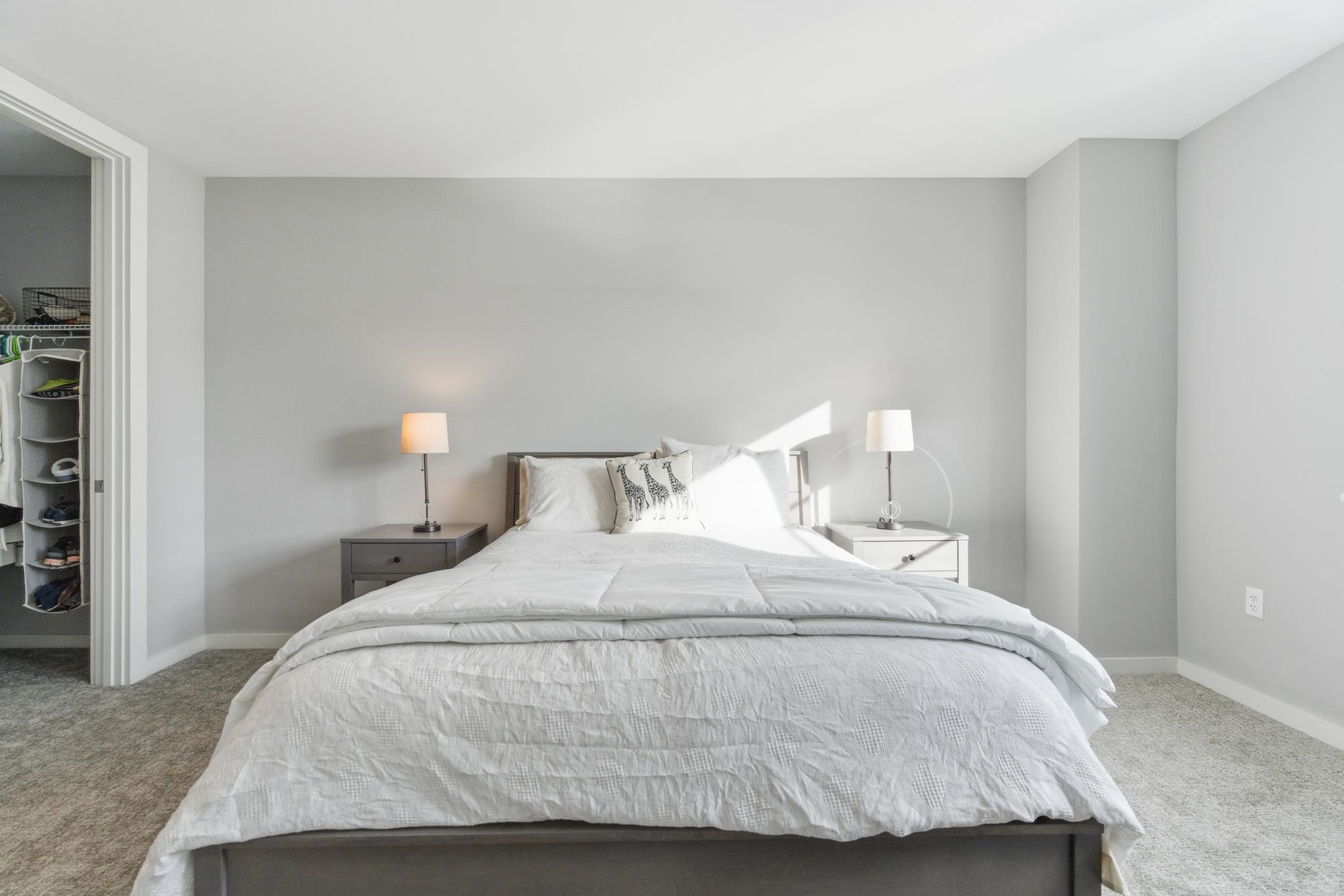 MLS #5073381 image #11