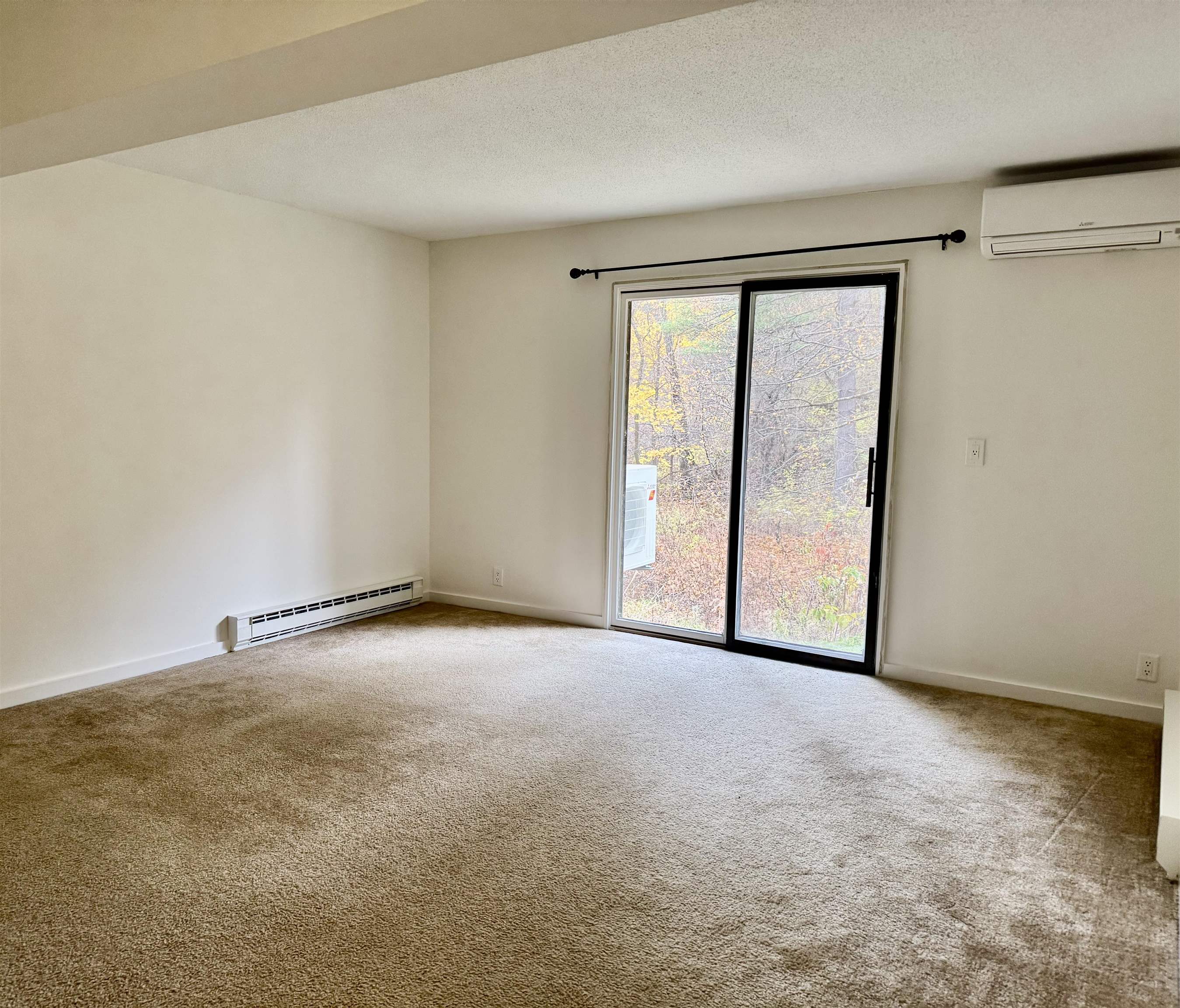 Spacious Lower Level Bedroom 24433480