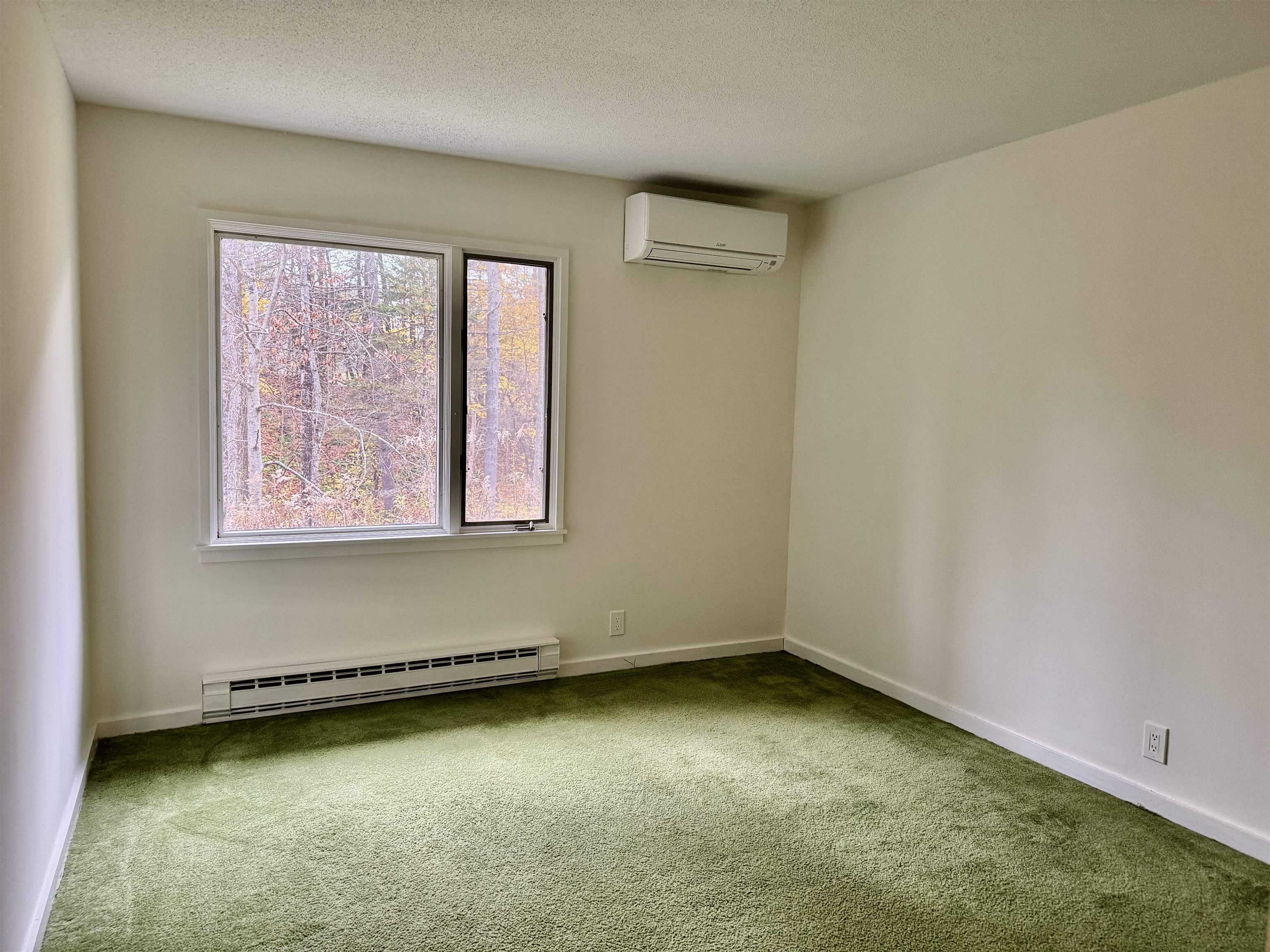 Second Bedroom on Lower Level 24433483