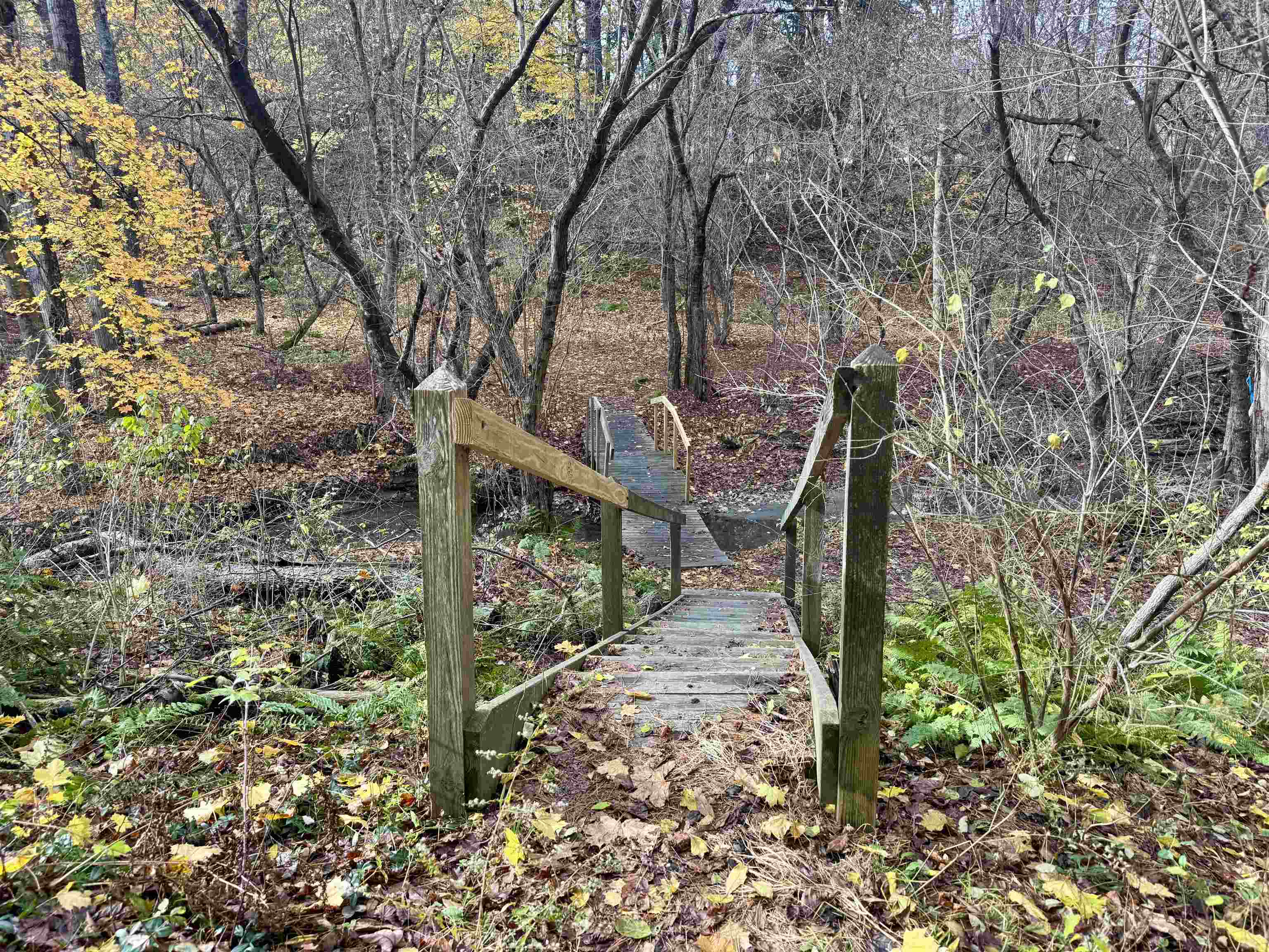 Bridge over Girl Brook to Trails in the Fall 24436955