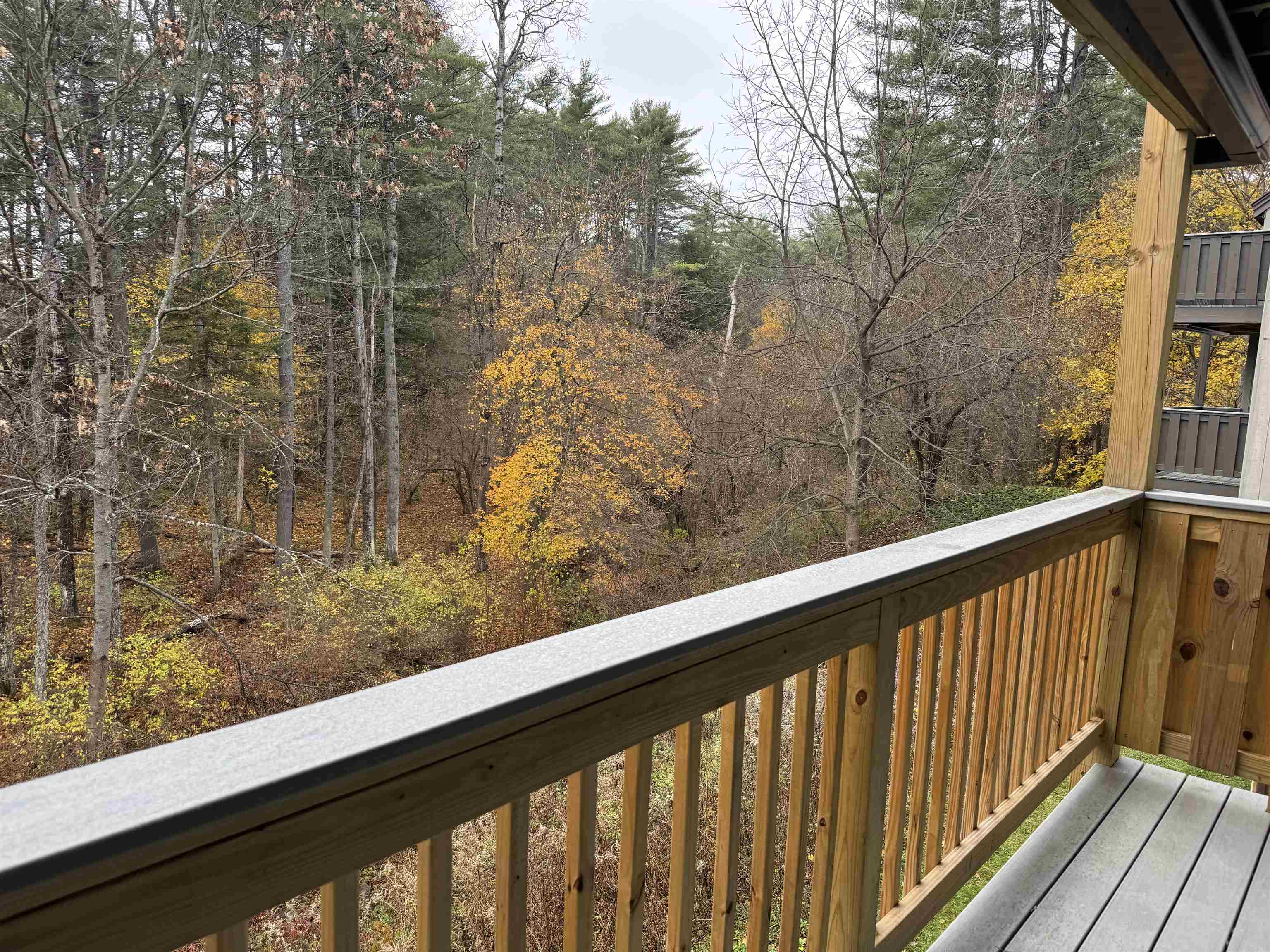 New Deck Overlooking Woodlands in the Fall 24433466