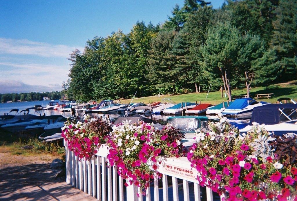 MLS #5073431 image #4