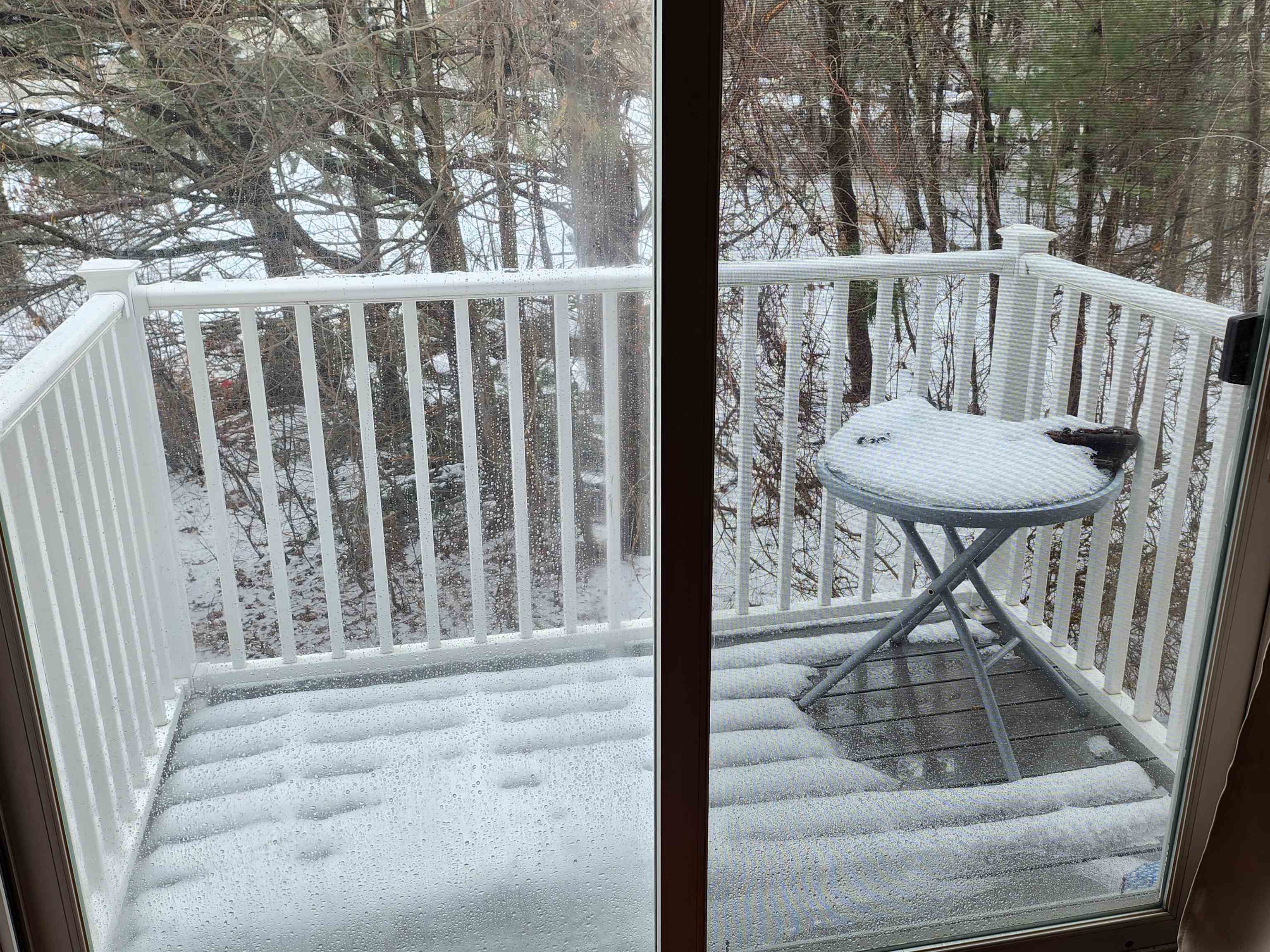 Homes for sale in Manchester, NH | 1029 S Mammoth Rd #36, Manchester, NH 03109 | MLS# 5073486