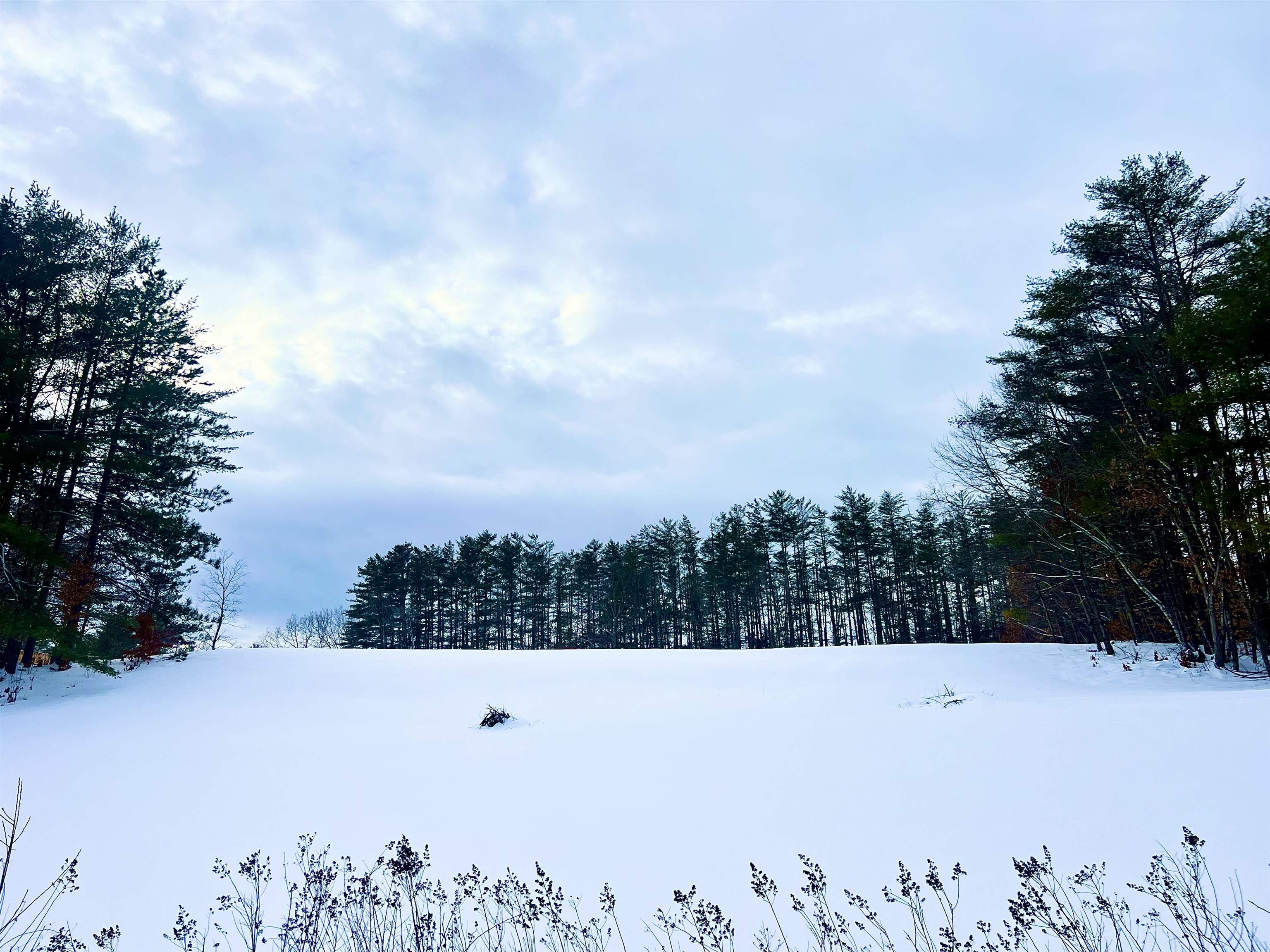 MLS #5073490 image #2