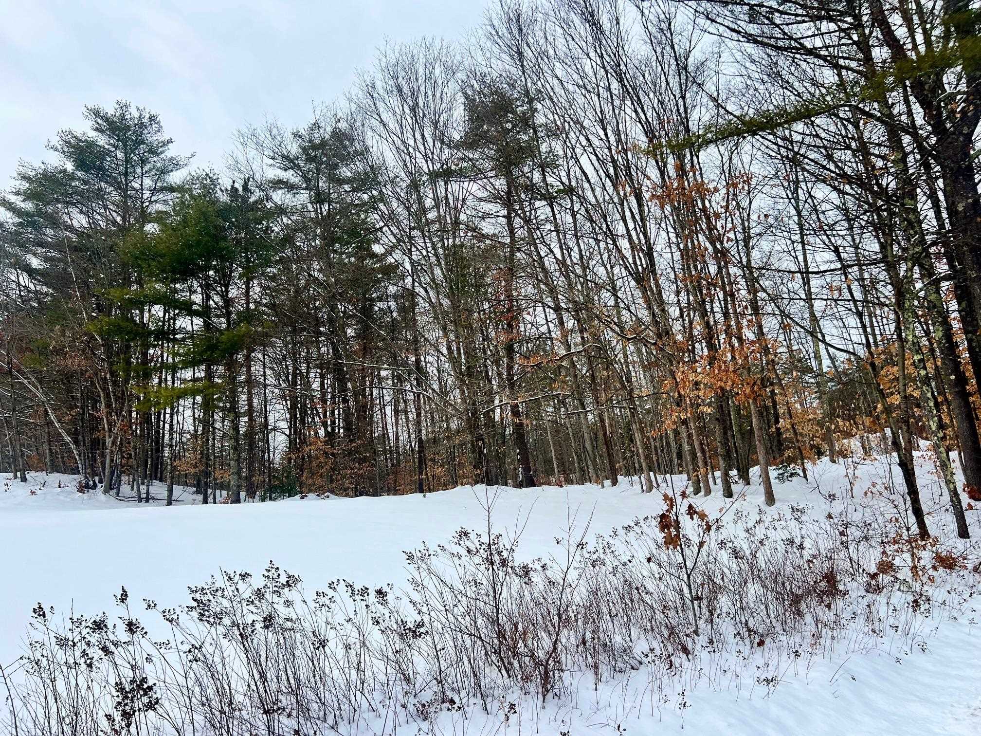 MLS #5073490 image #3