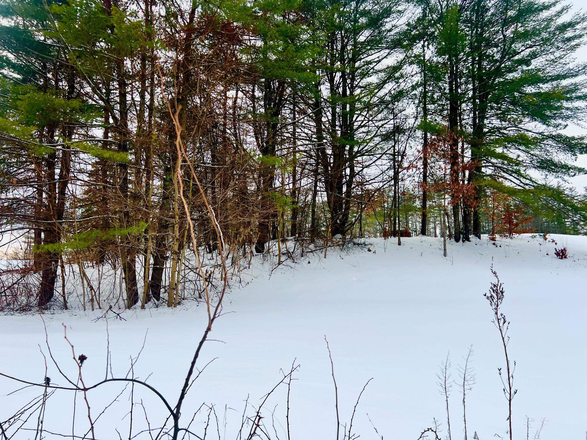 MLS #5073490 image #4