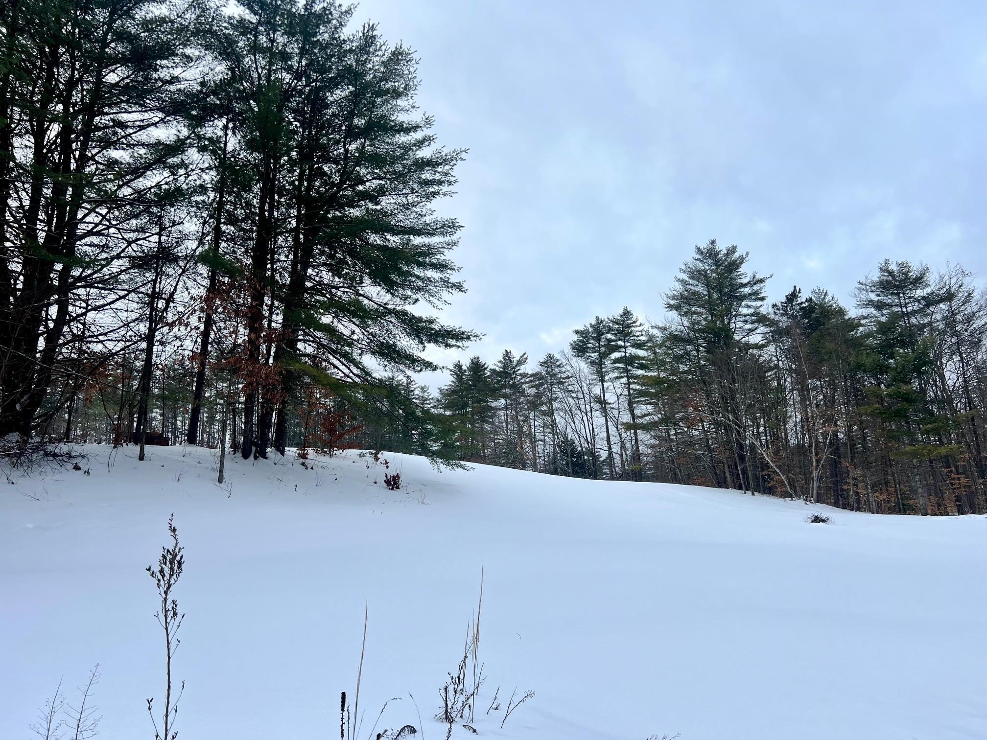 MLS #5073490 image #6