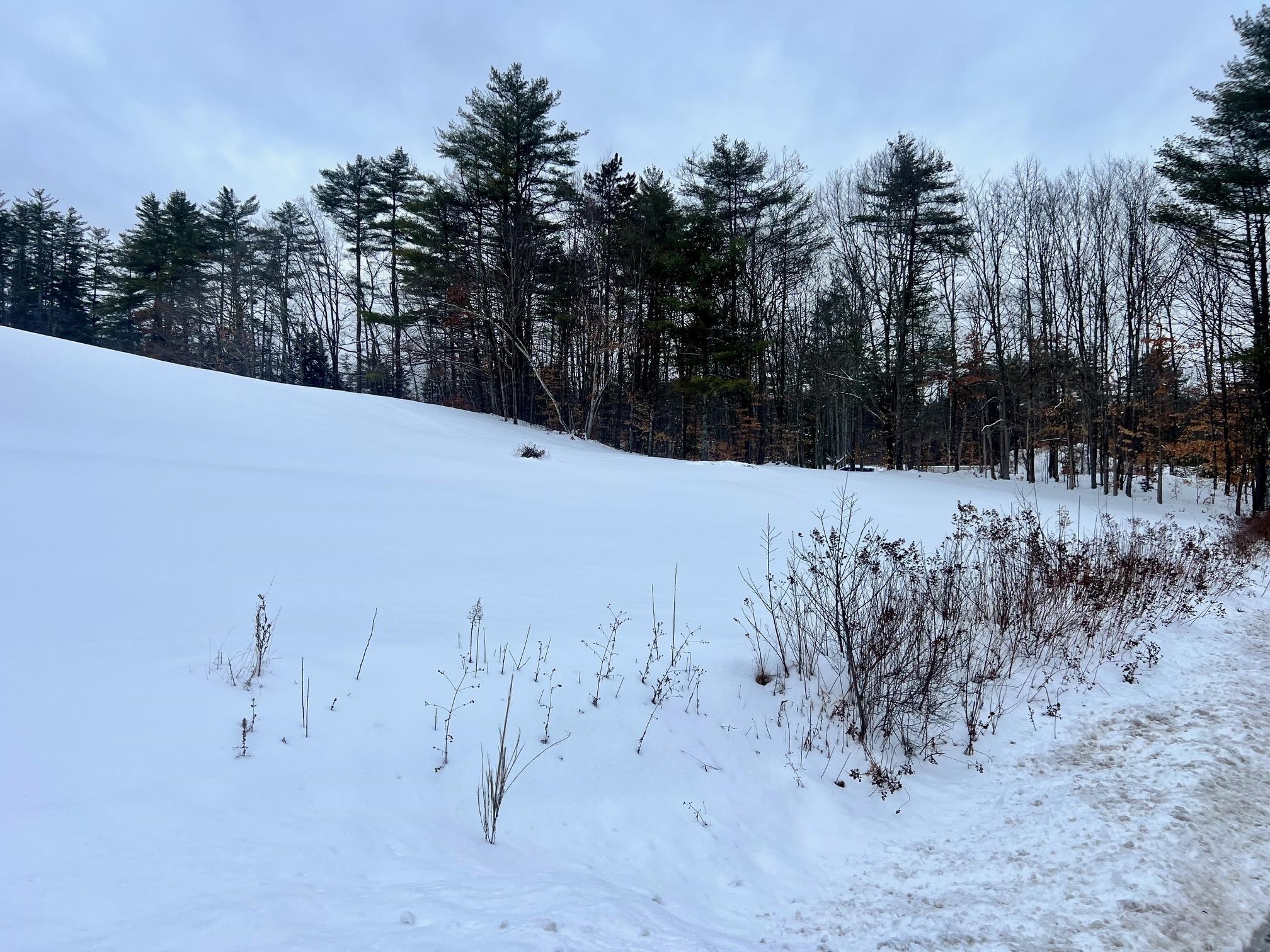 MLS #5073490 image #8