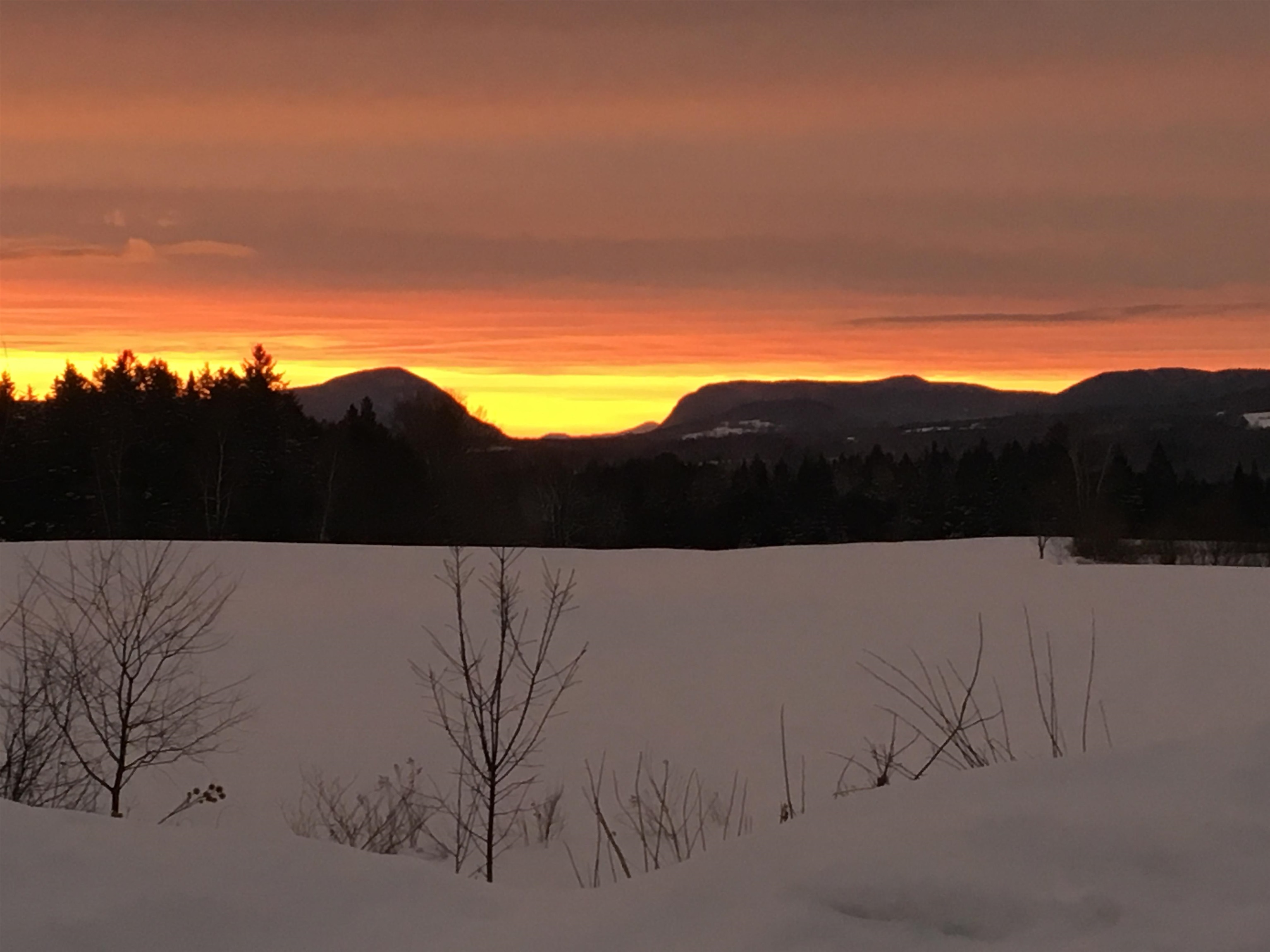 Homes for sale in Brownington, VT | 321 Davis Ln, Brownington, VT 05860 | MLS# 5073563