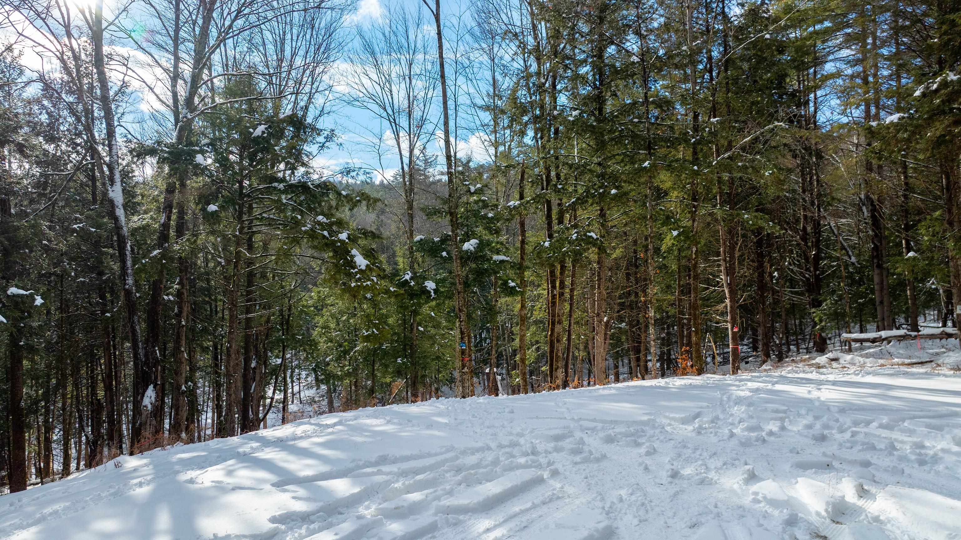 Homes for sale in Hartford, VT | 0 Fay Ln, Hartford, VT 05059 | MLS# 5073575