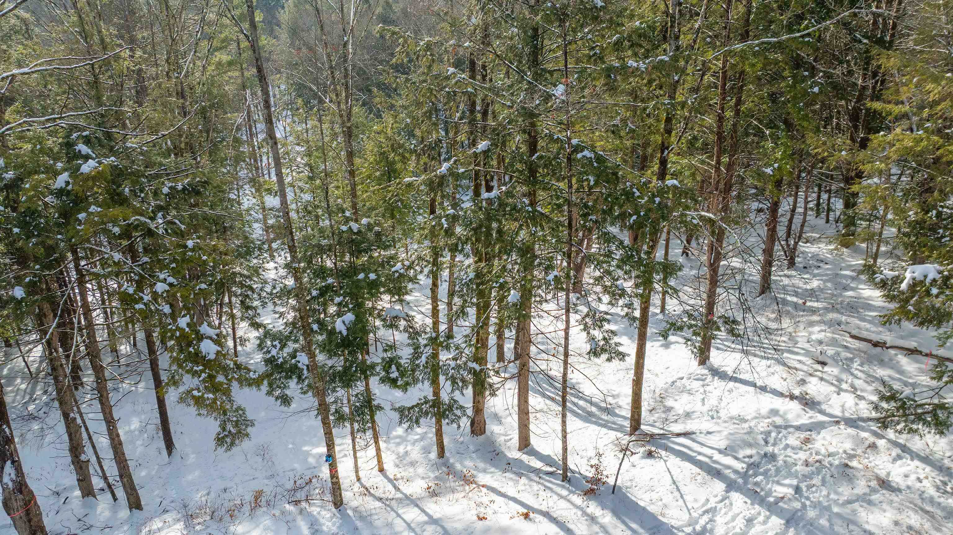 Homes for sale in Hartford, VT | 0 Fay Ln, Hartford, VT 05059 | MLS# 5073575