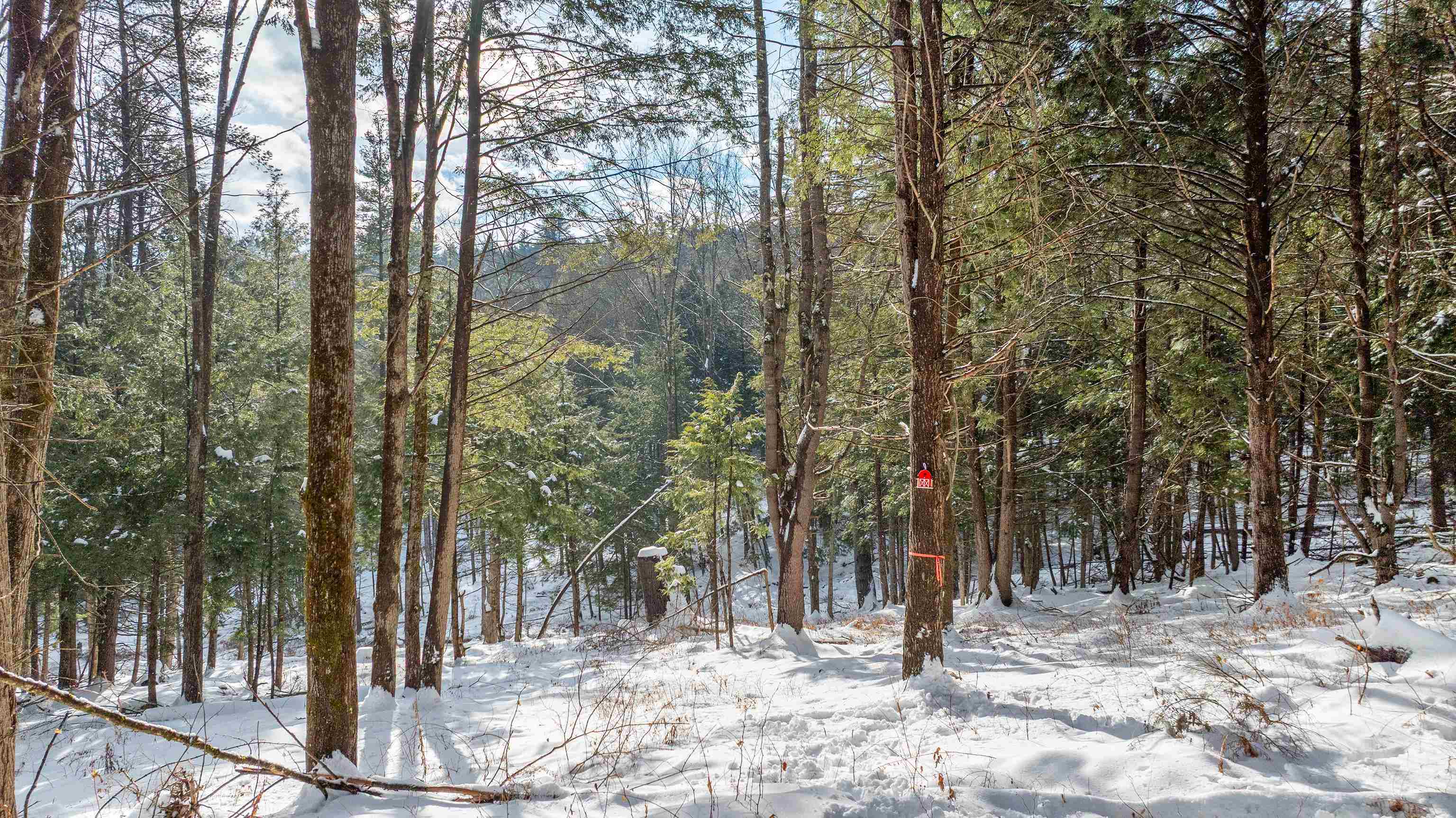 Homes for sale in Hartford, VT | 0 Fay Ln, Hartford, VT 05059 | MLS# 5073575