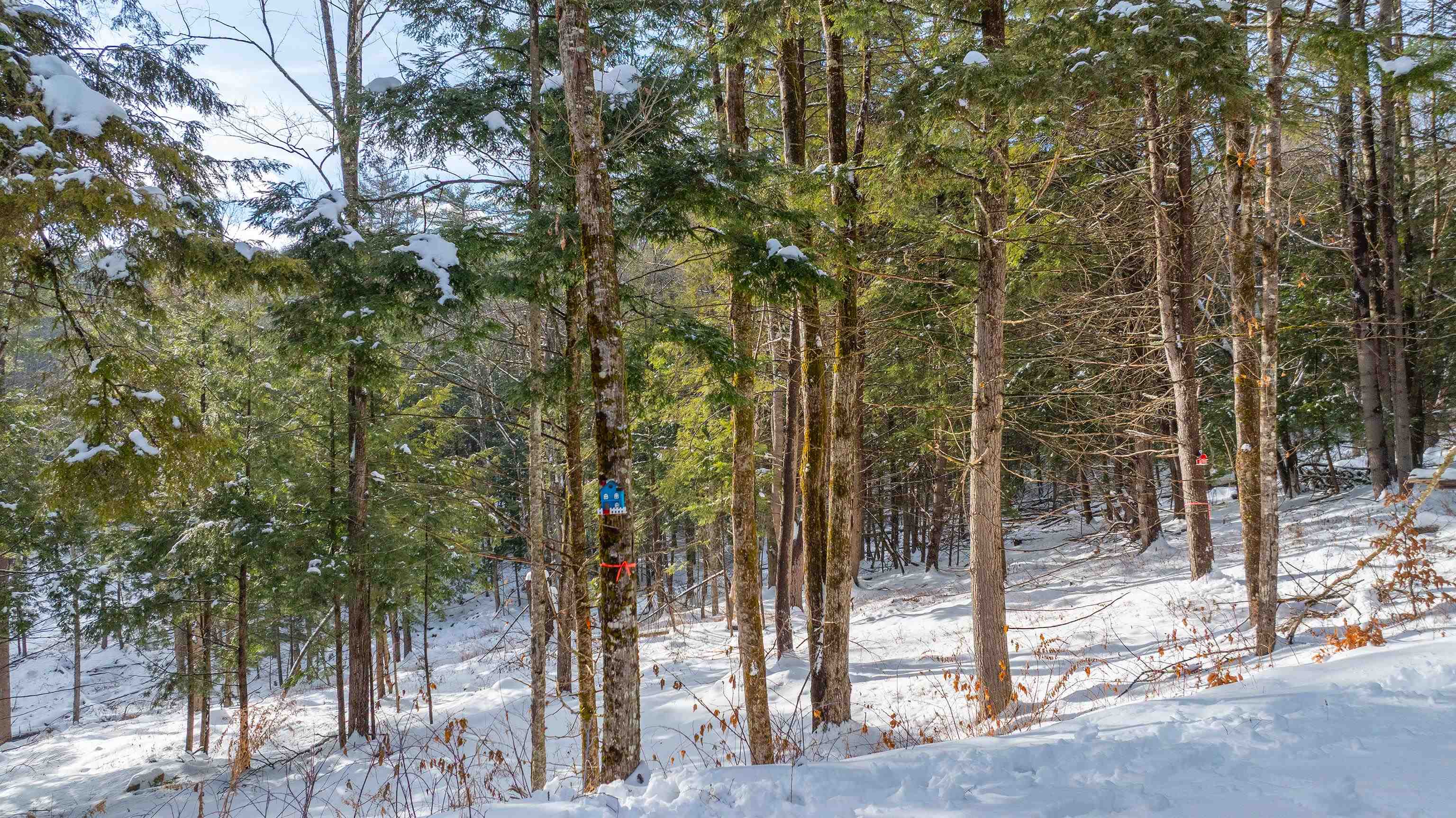 Homes for sale in Hartford, VT | 0 Fay Ln, Hartford, VT 05059 | MLS# 5073575