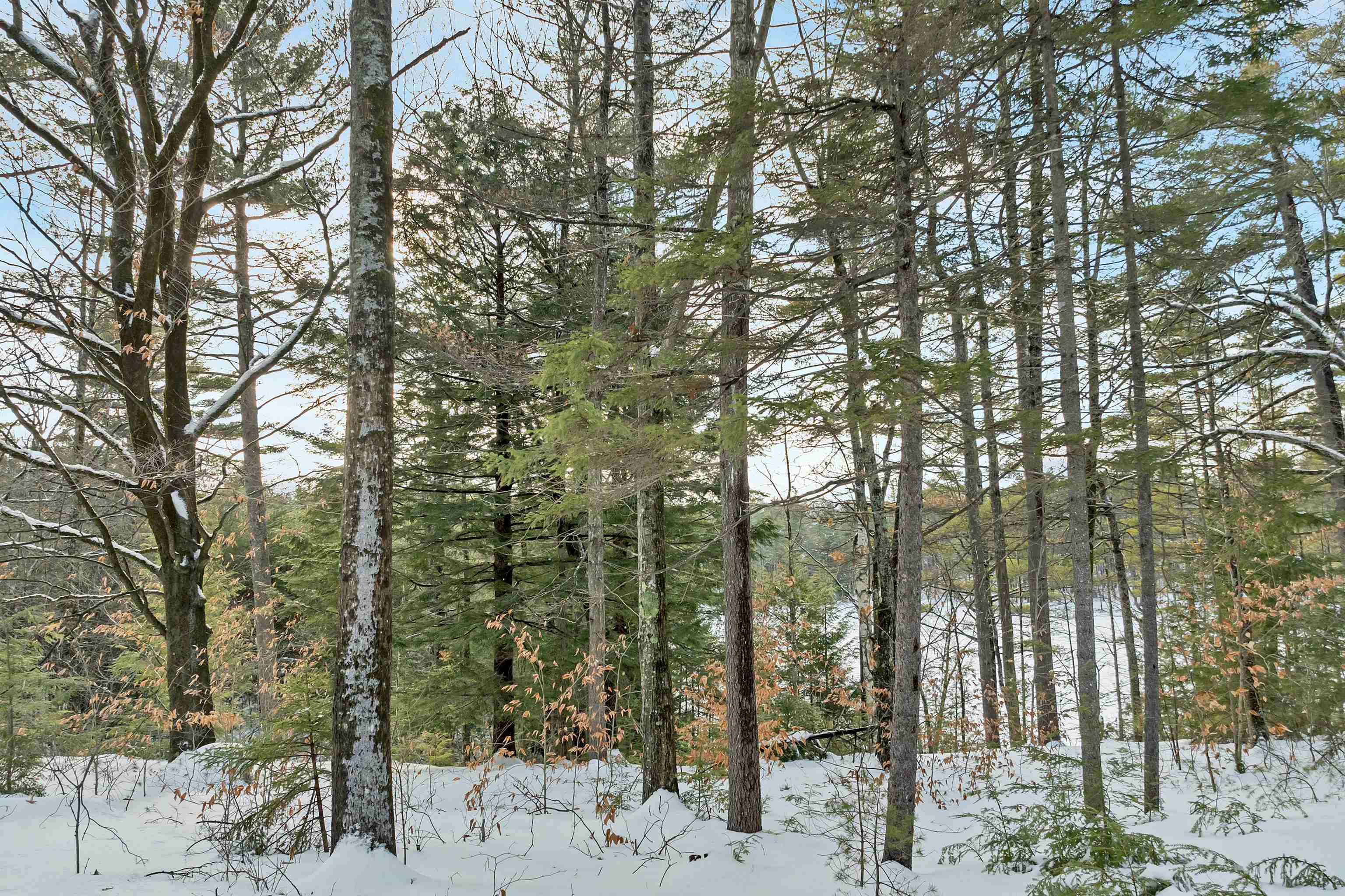 MLS #5073577 image #11