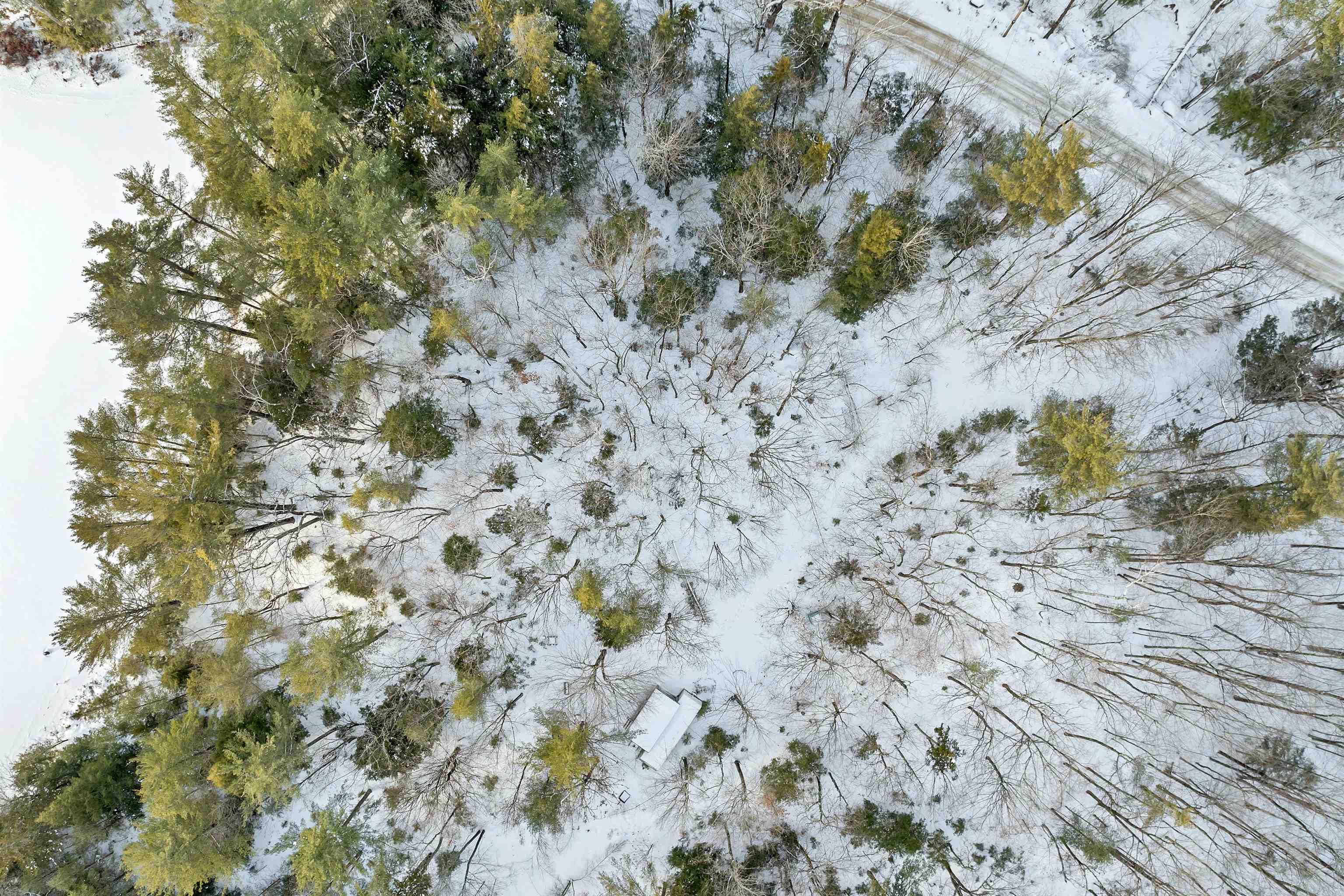 MLS #5073577 image #3