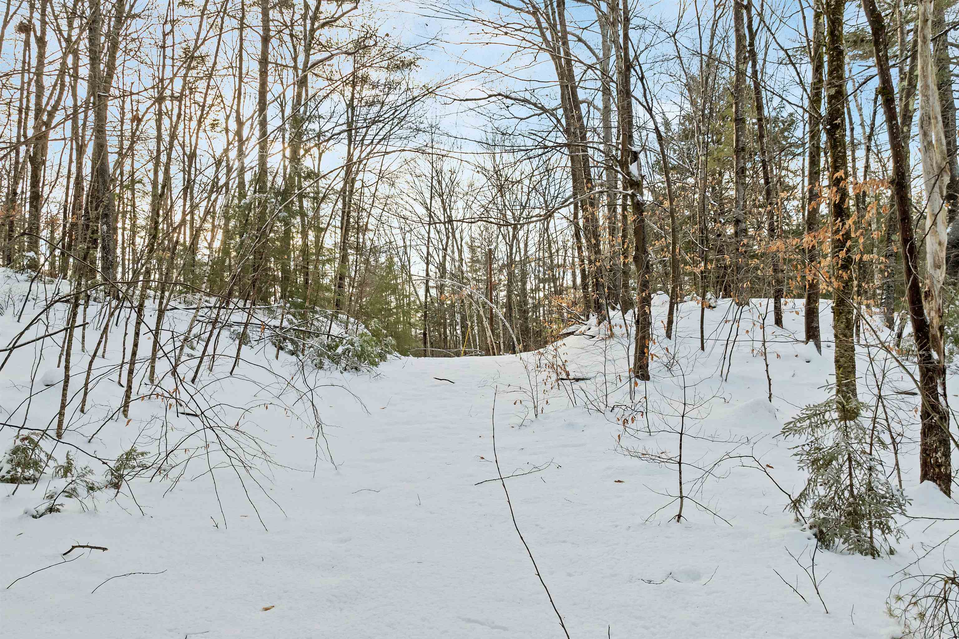 MLS #5073577 image #6