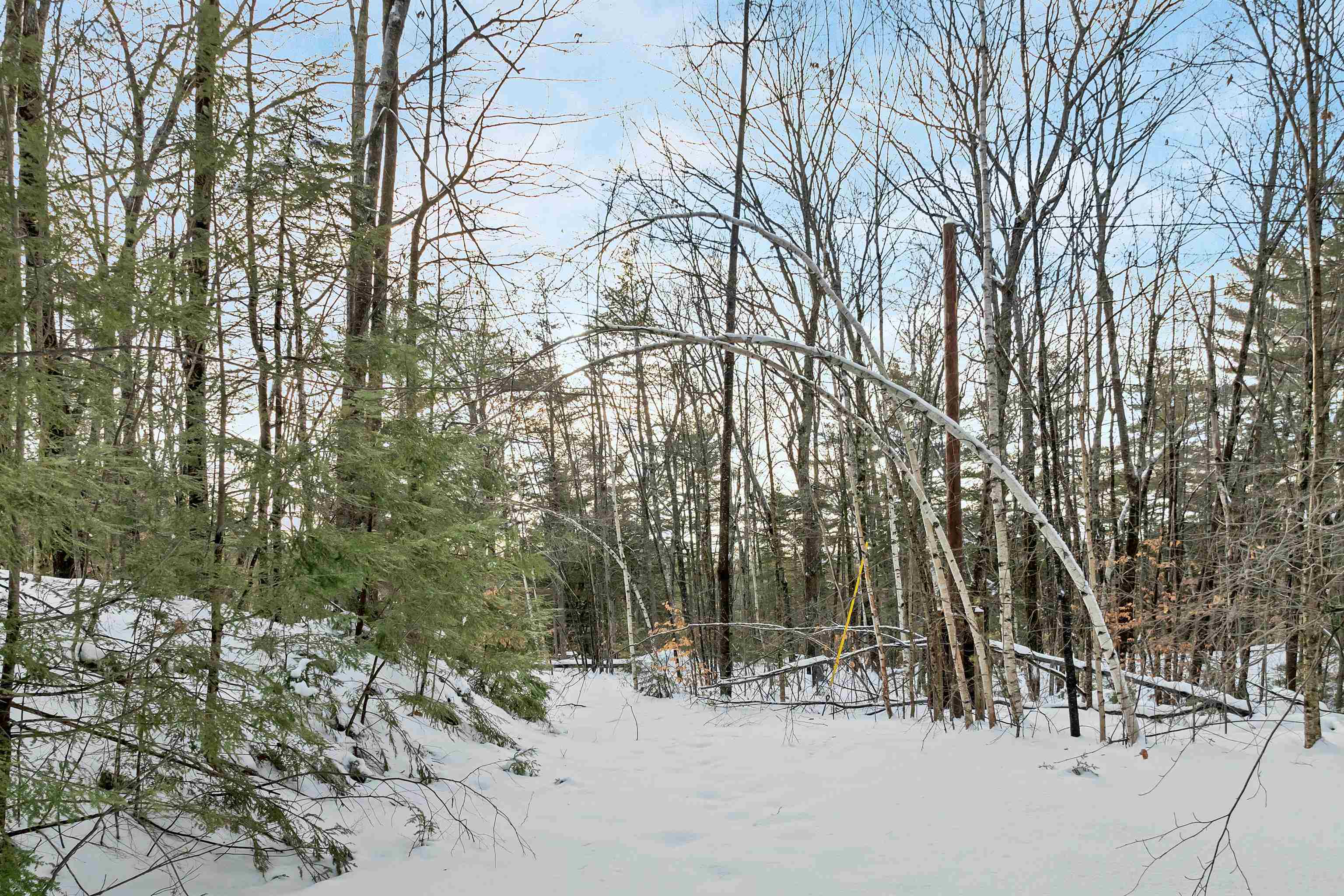 MLS #5073577 image #7