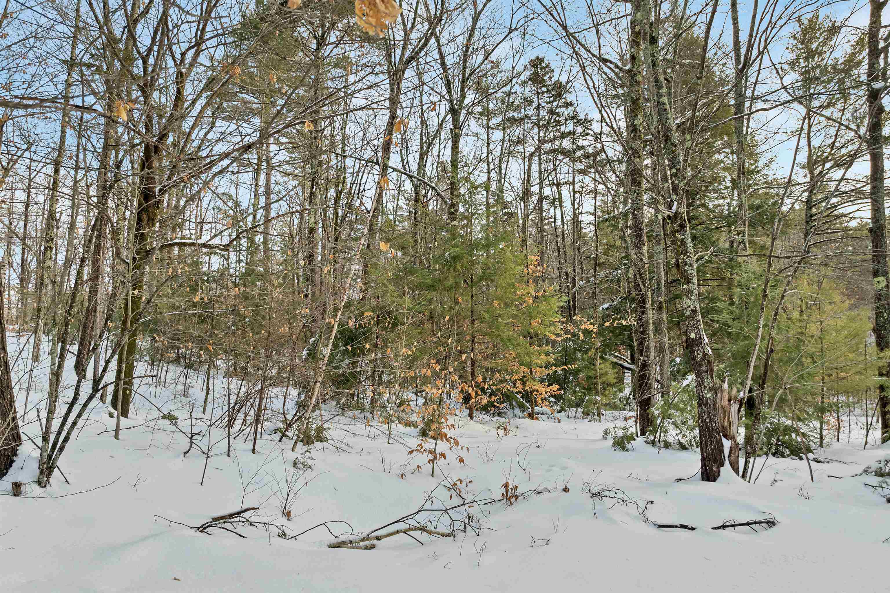 MLS #5073577 image #9