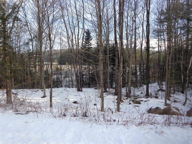 Homes for sale in Danbury, NH | 30 Phelps Ln, Danbury, NH 03230 | MLS# 5073635