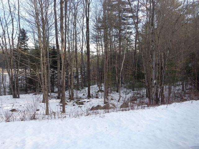 30 Phelps Ln, Danbury, NH 03230