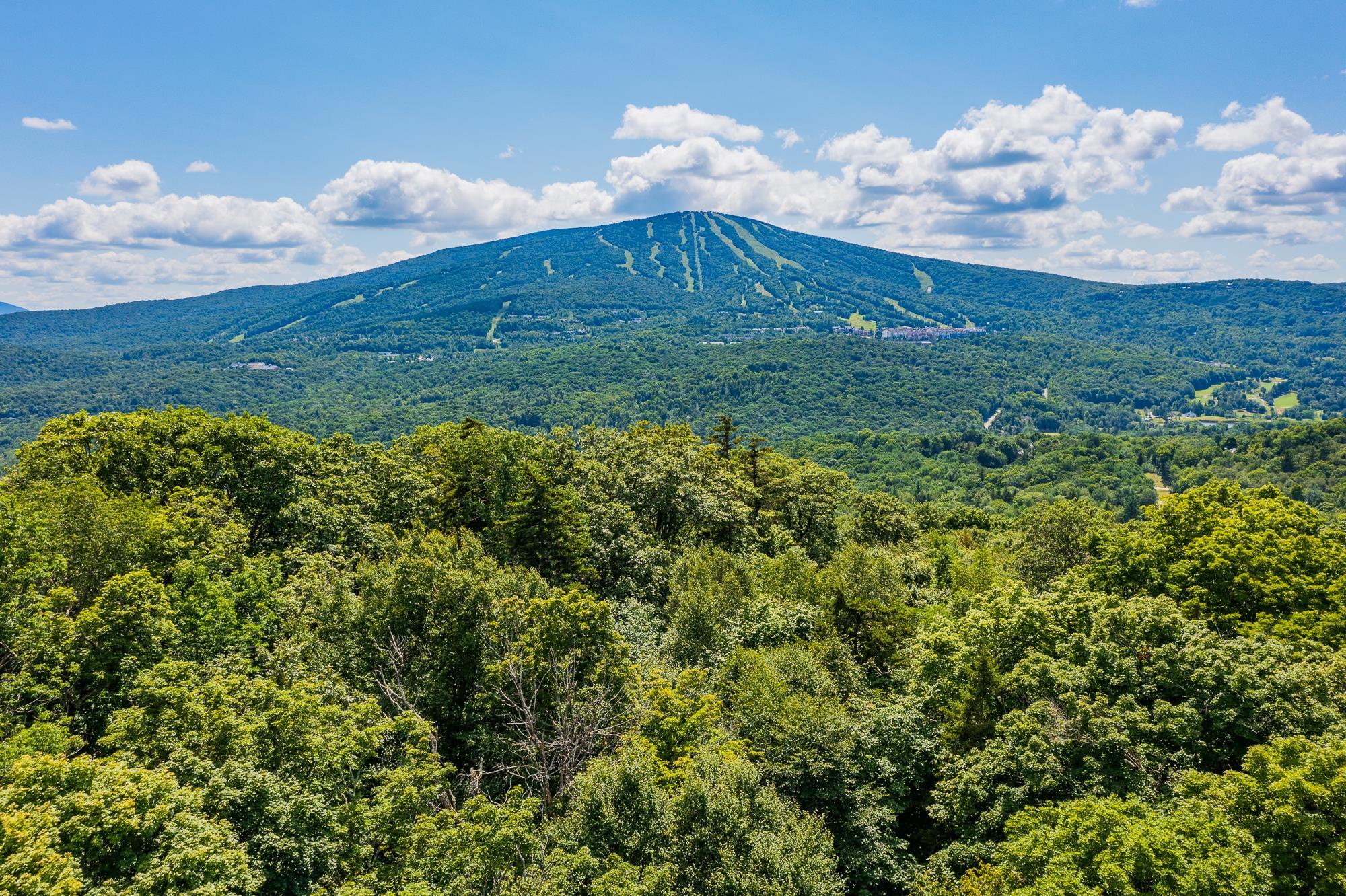 Homes for sale in Winhall, VT | 41 Pearl Buck Dr, Winhall, VT 05340 | MLS# 5073637