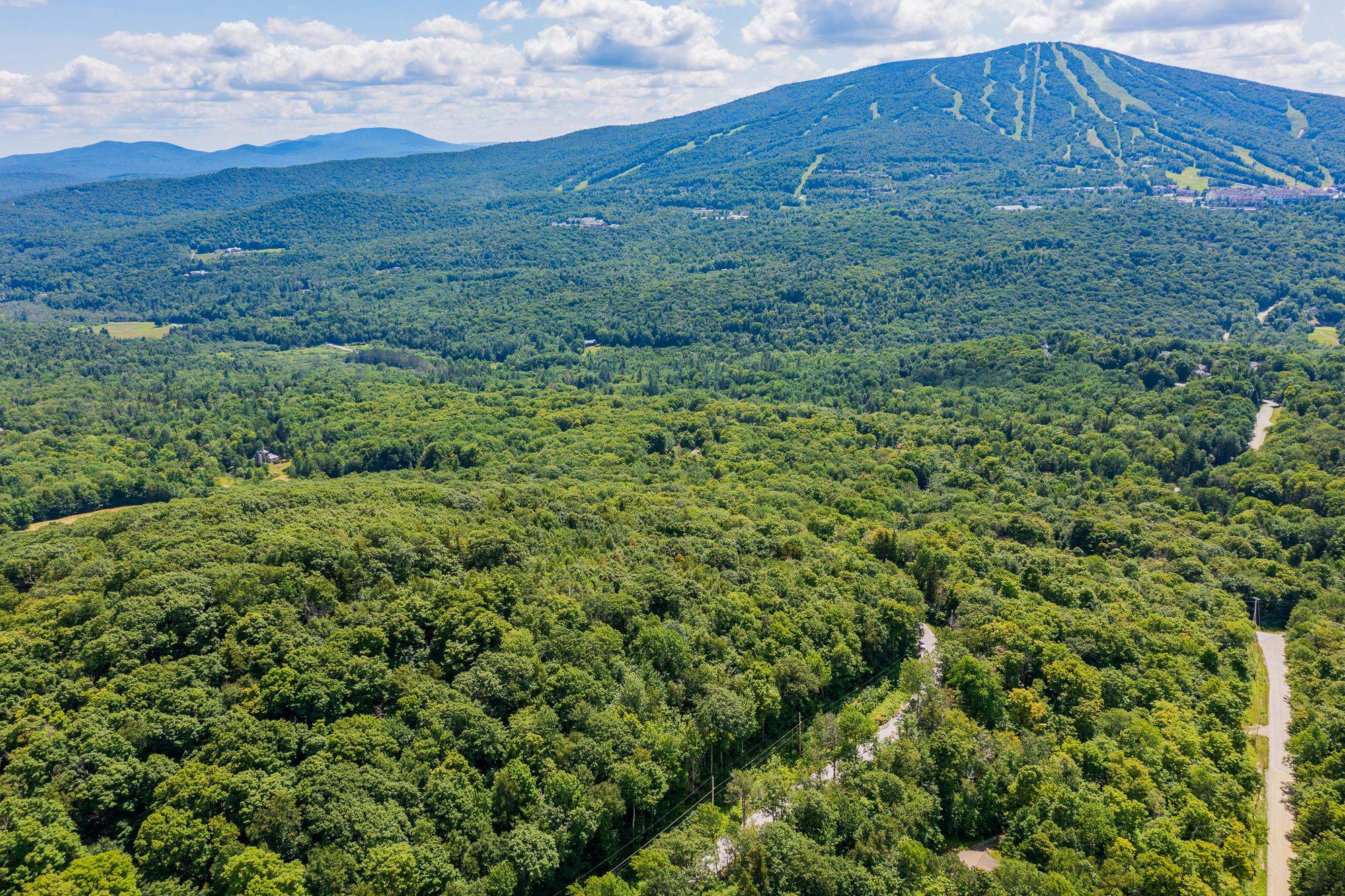 Homes for sale in Winhall, VT | 41 Pearl Buck Dr, Winhall, VT 05340 | MLS# 5073637