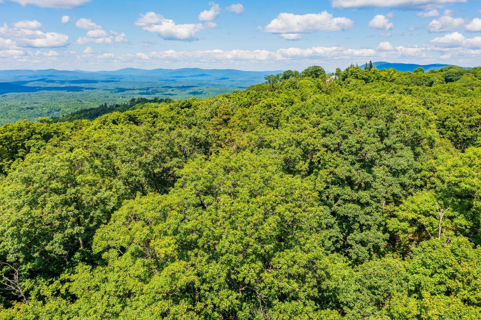 Homes for sale in Winhall, VT | 41 Pearl Buck Dr, Winhall, VT 05340 | MLS# 5073637