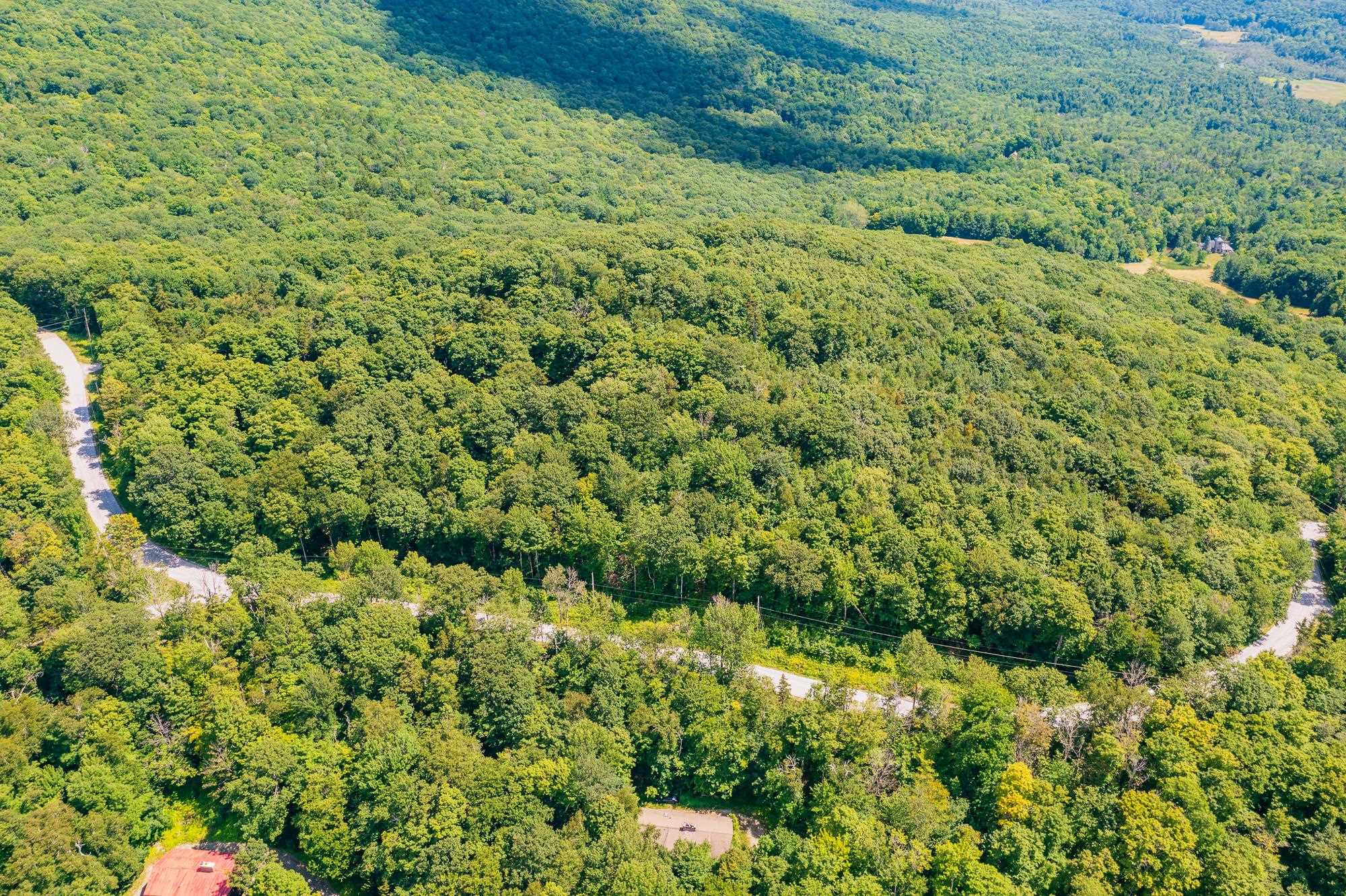 Homes for sale in Winhall, VT | 41 Pearl Buck Dr, Winhall, VT 05340 | MLS# 5073637