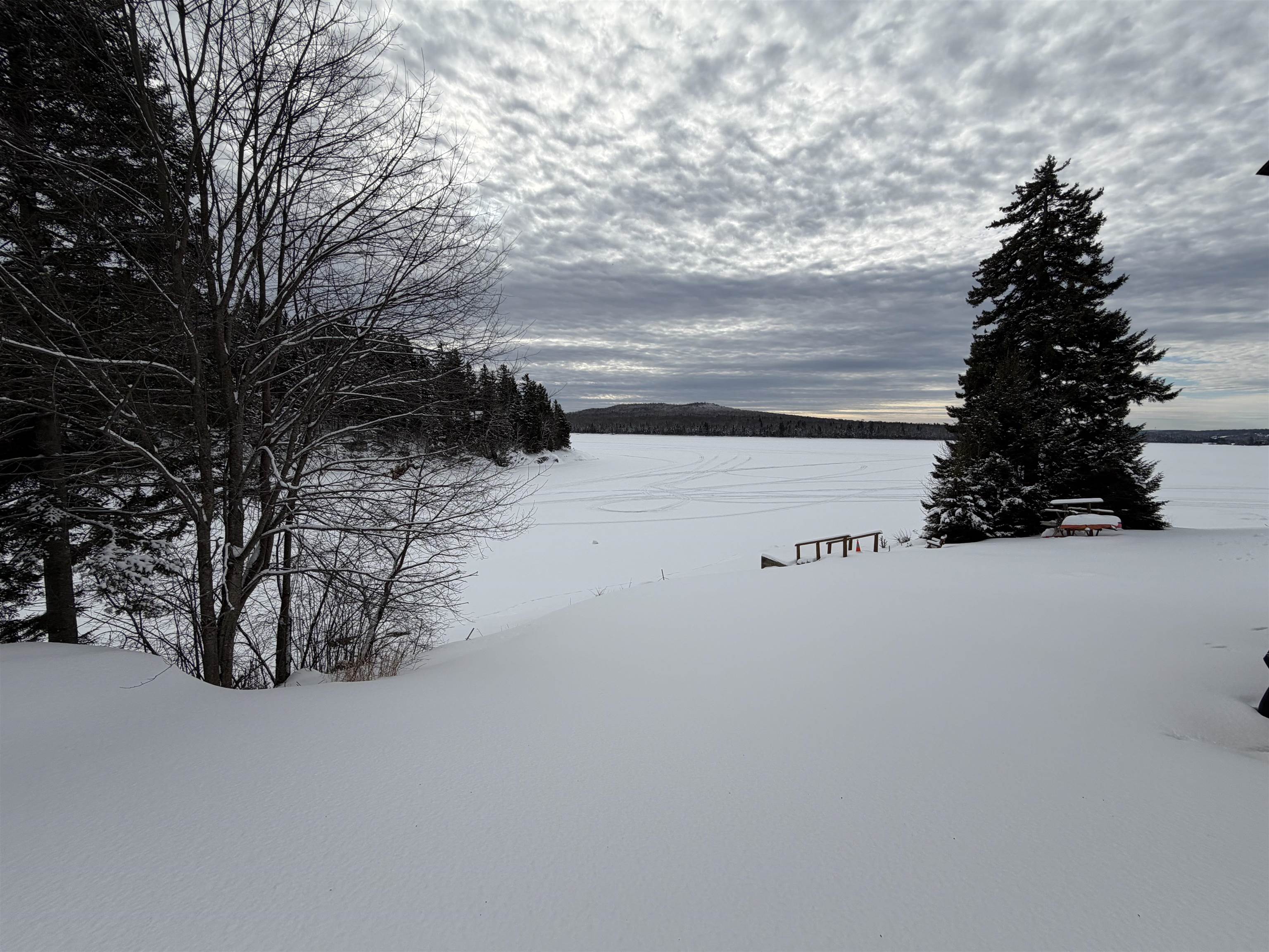   Click for more details  