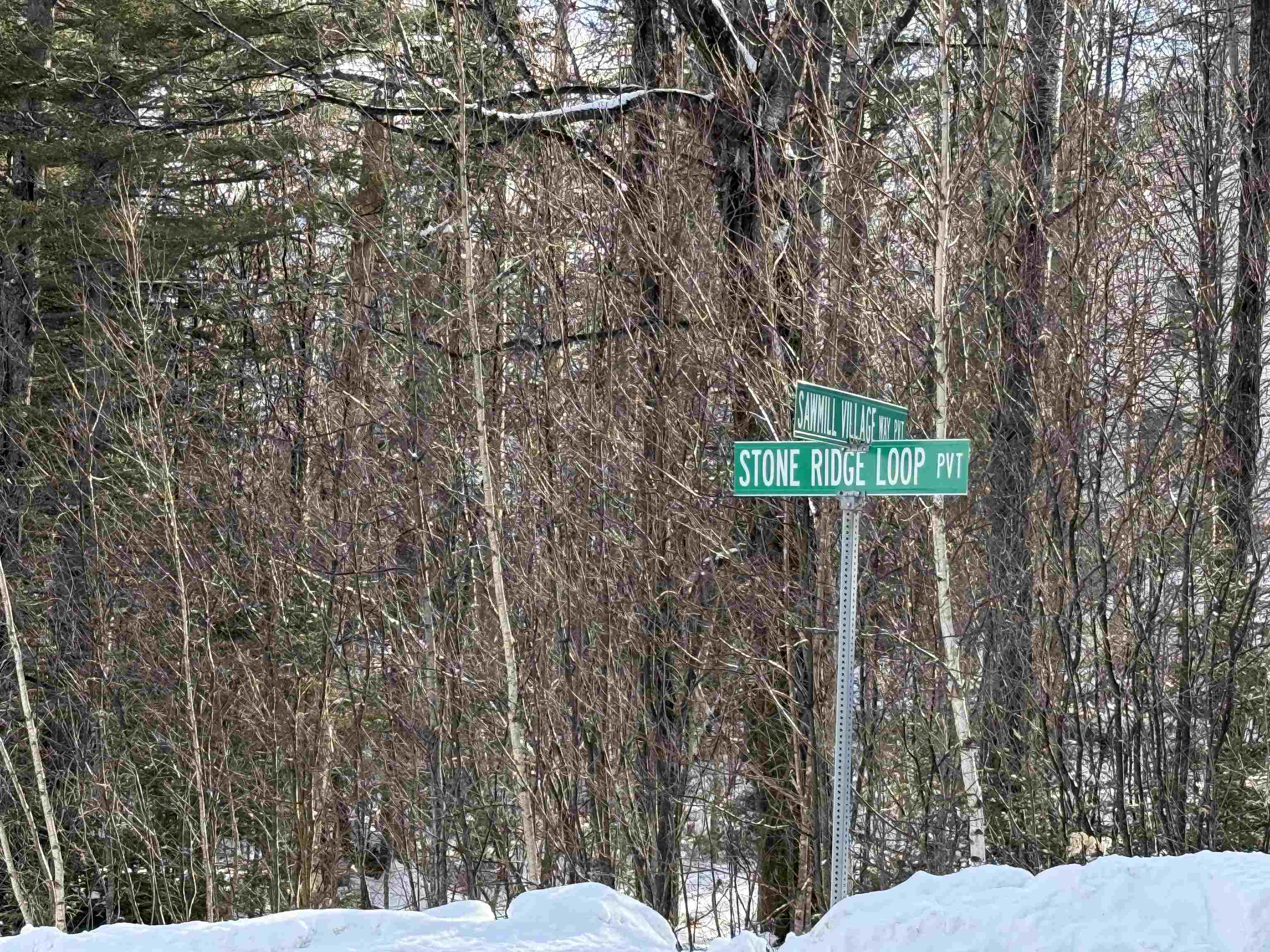 Homes for sale in Dover, VT | 12 Stone Ridge Loop, Dover, VT 05356 | MLS# 5073648