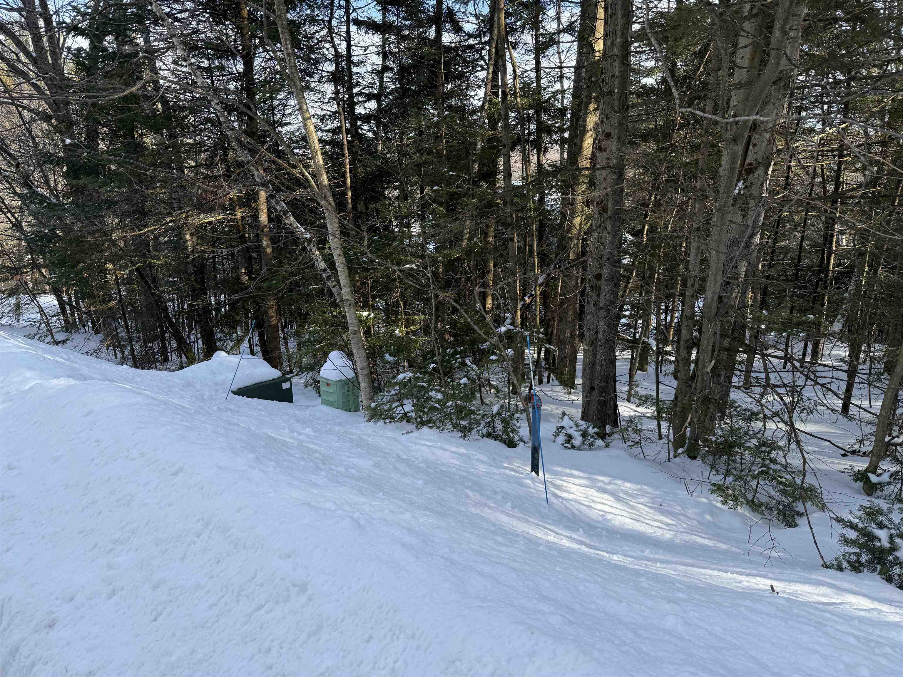 Homes for sale in Dover, VT | 12 Stone Ridge Loop, Dover, VT 05356 | MLS# 5073648